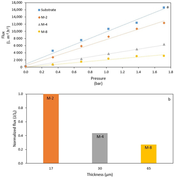 Coatings 12 01764 g010