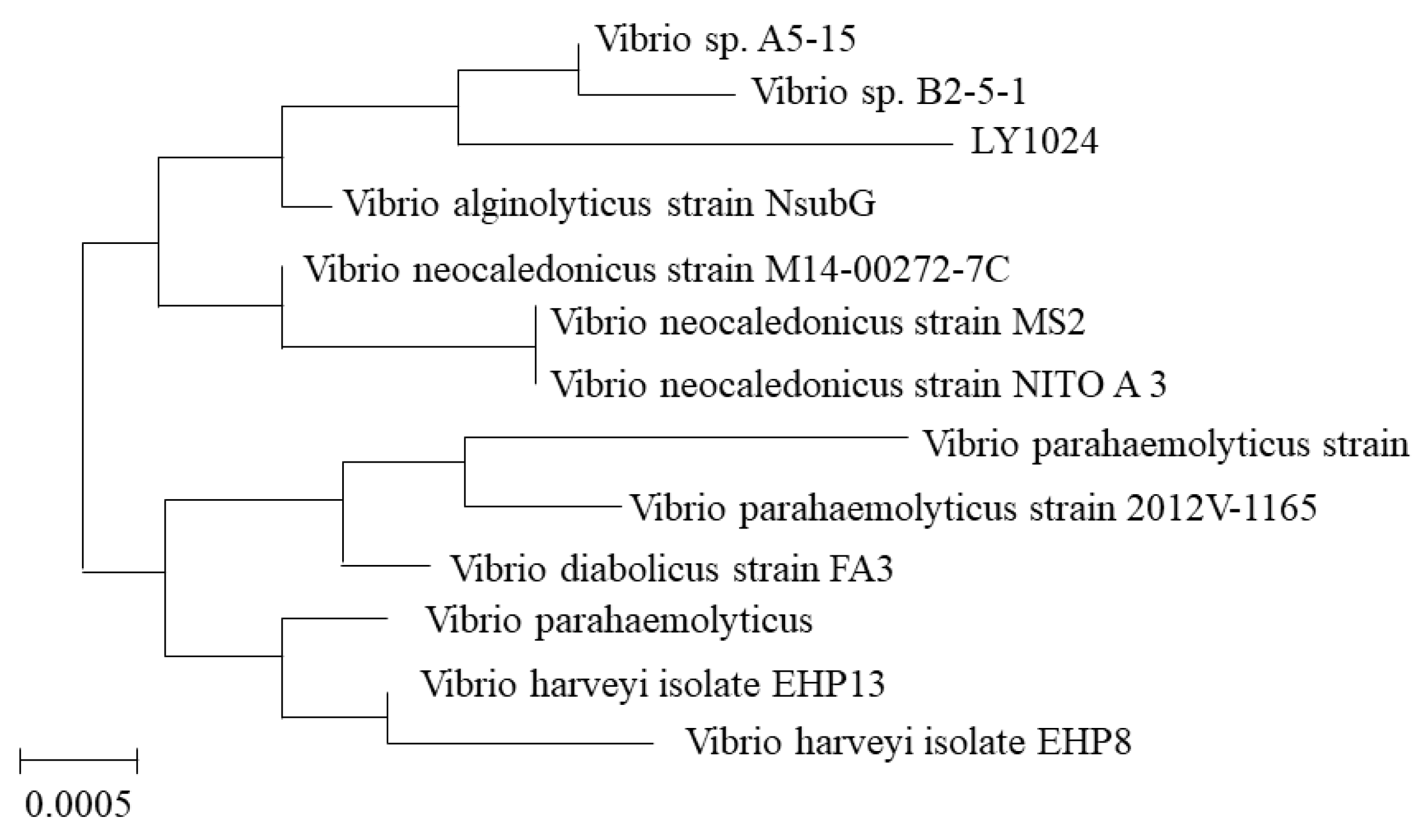 Coatings 12 01786 g002