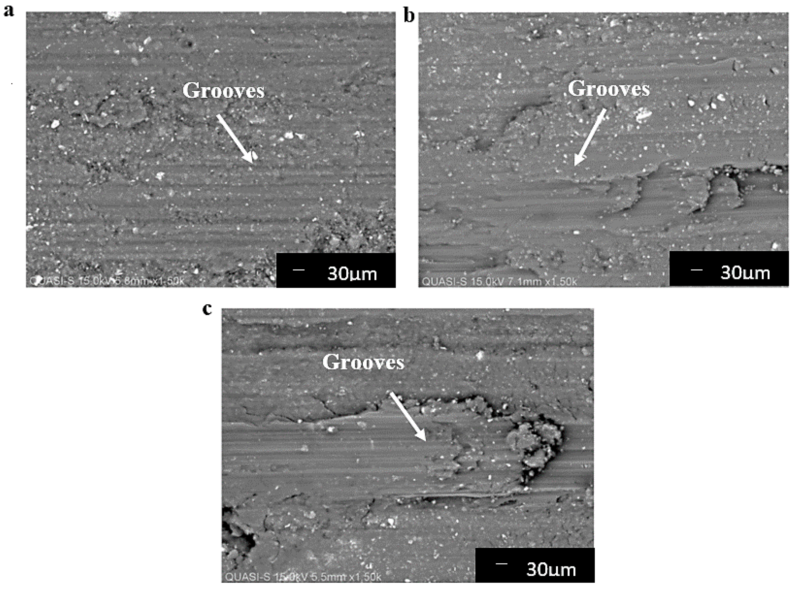 Coatings 12 01792 g009