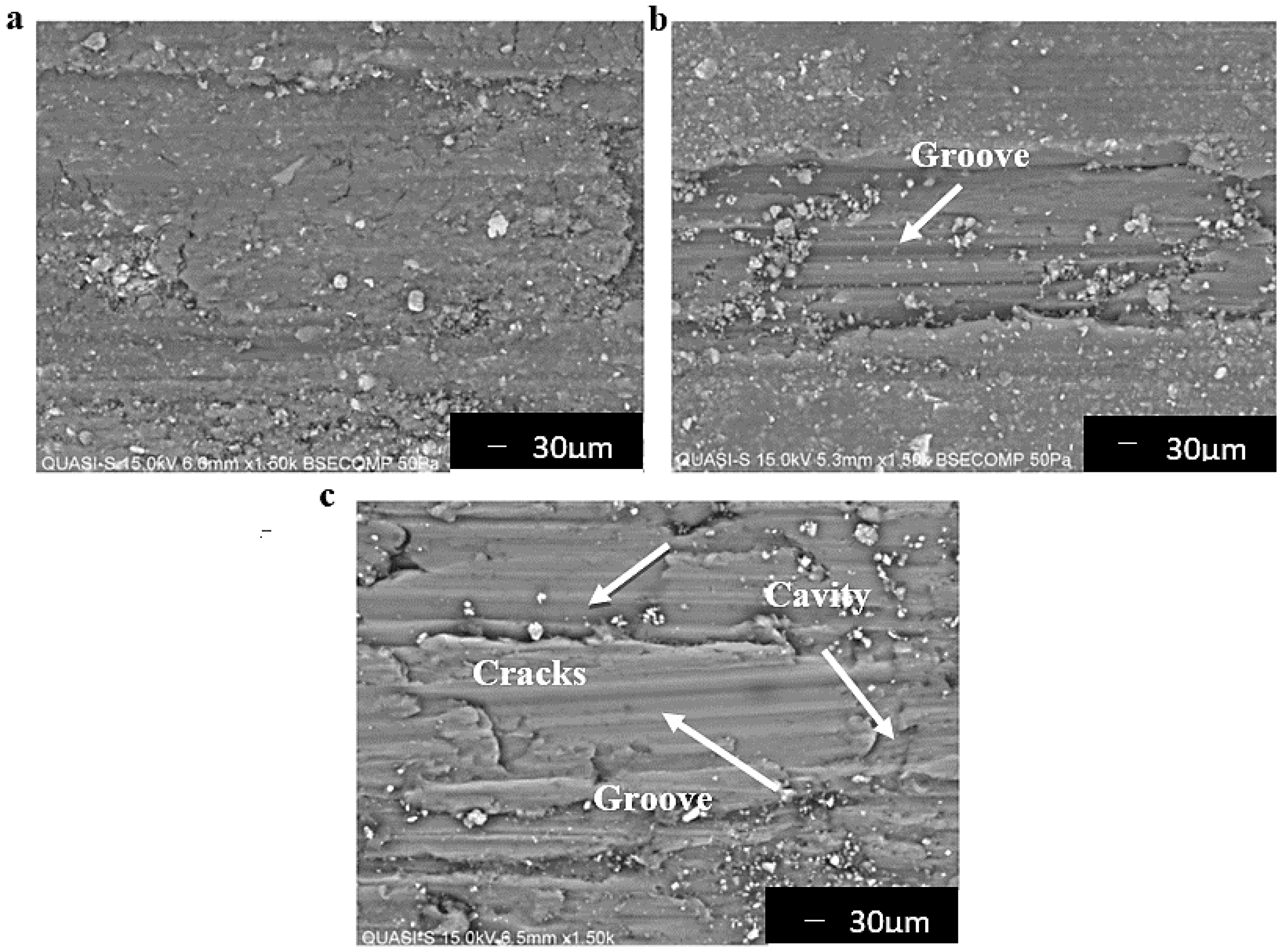 Coatings 12 01792 g010