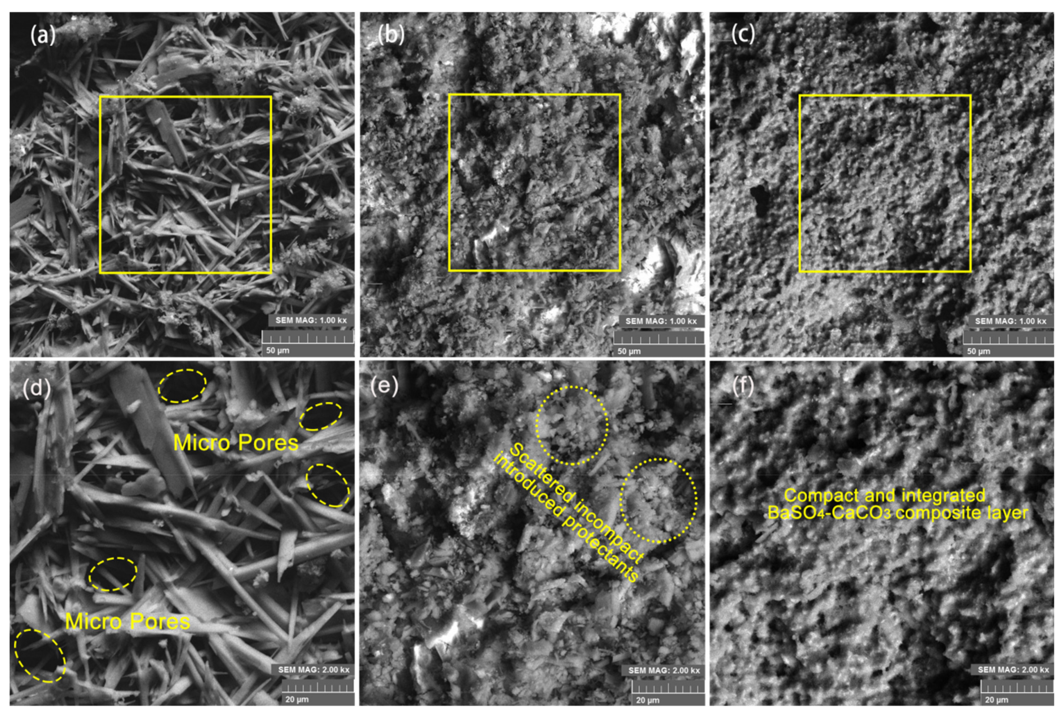 Coatings 12 01793 g002