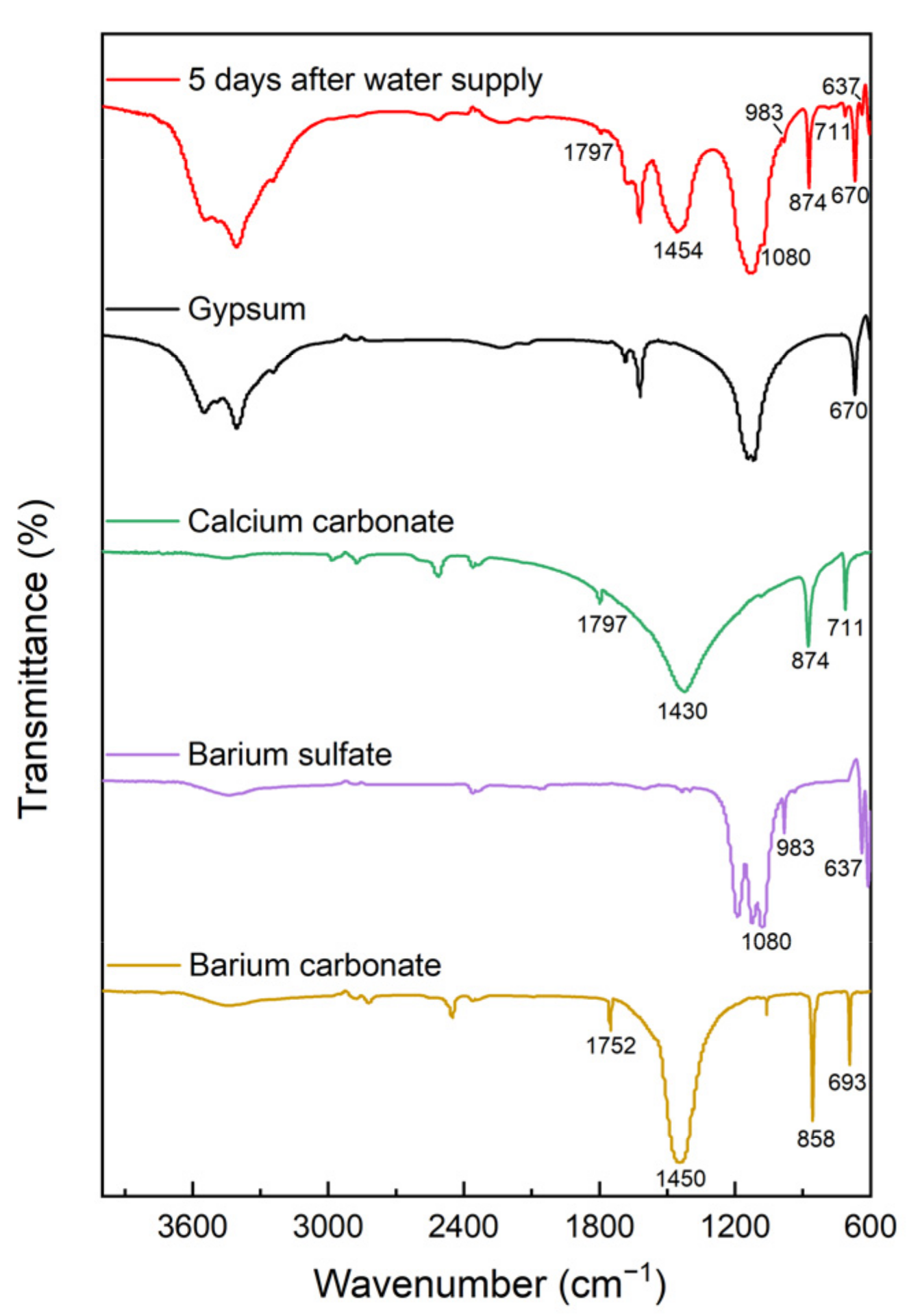 Coatings 12 01793 g005