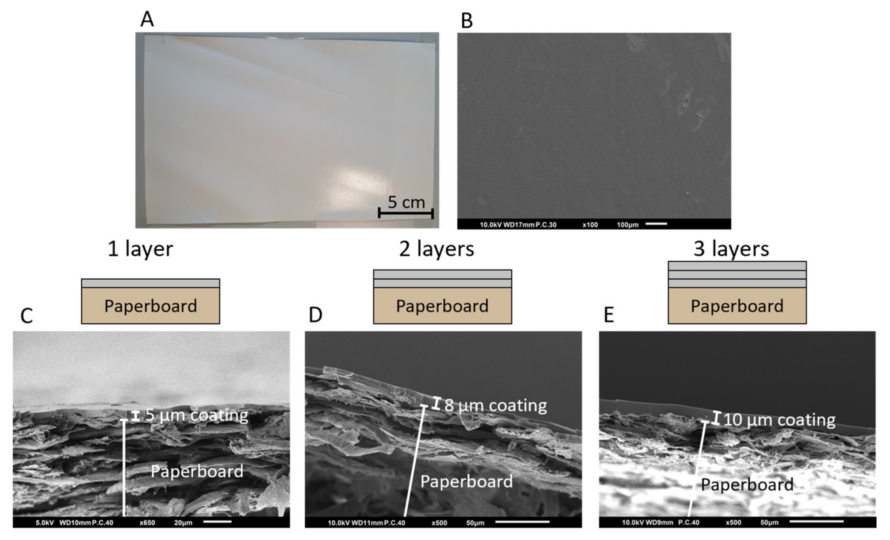 Coatings 12 01841 g001