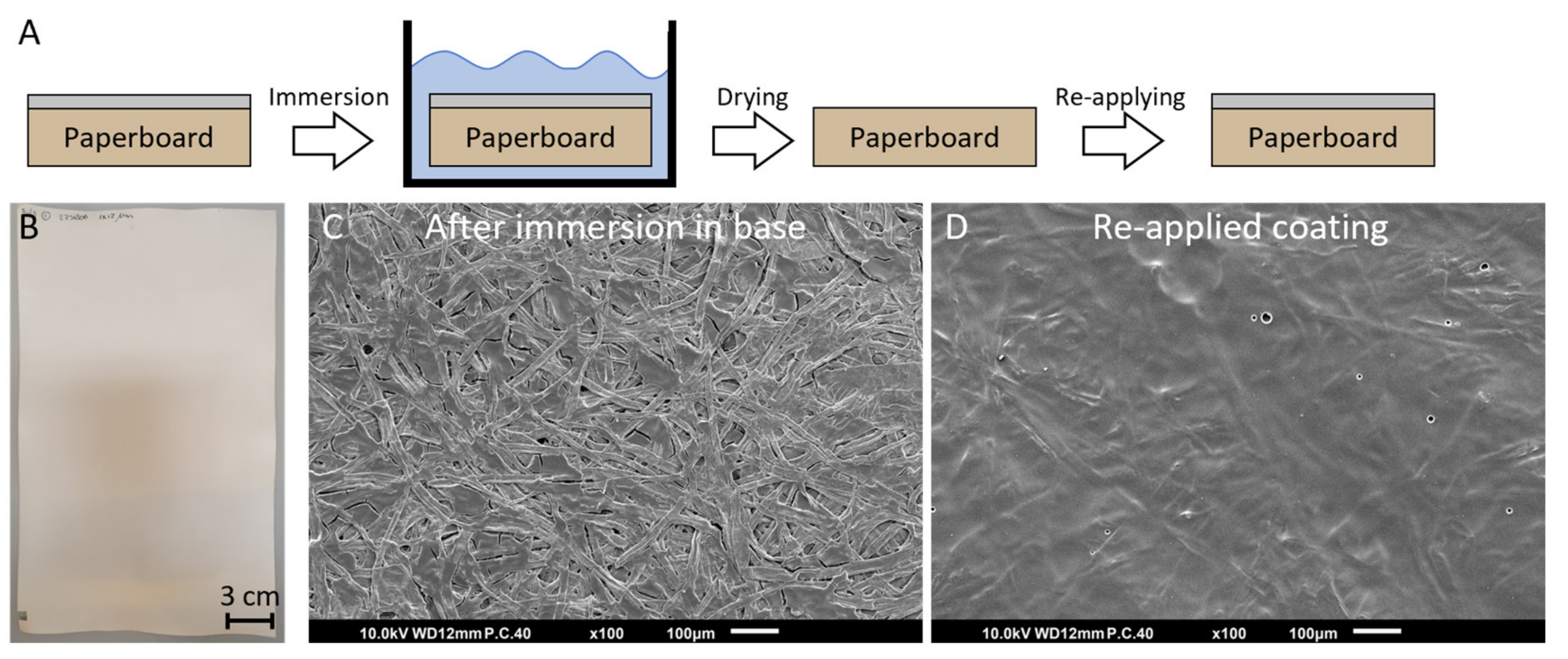 Coatings 12 01841 g007