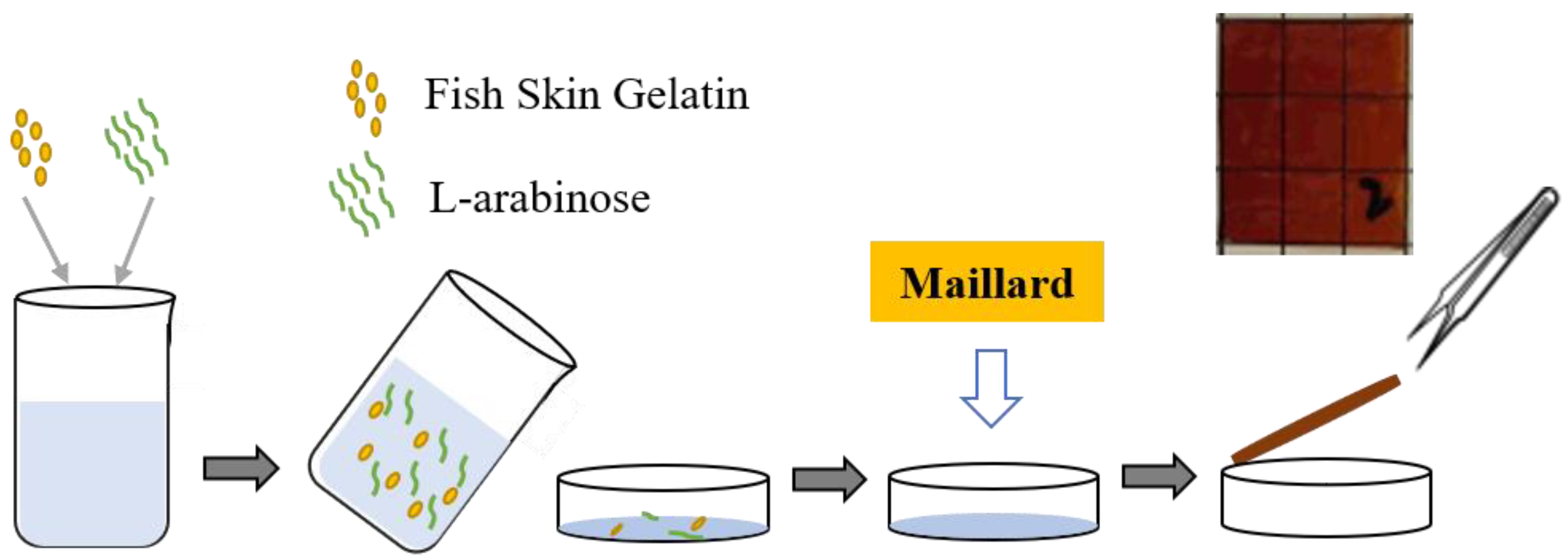 Coatings 12 01929 g001 Coatings 12 01929 g001