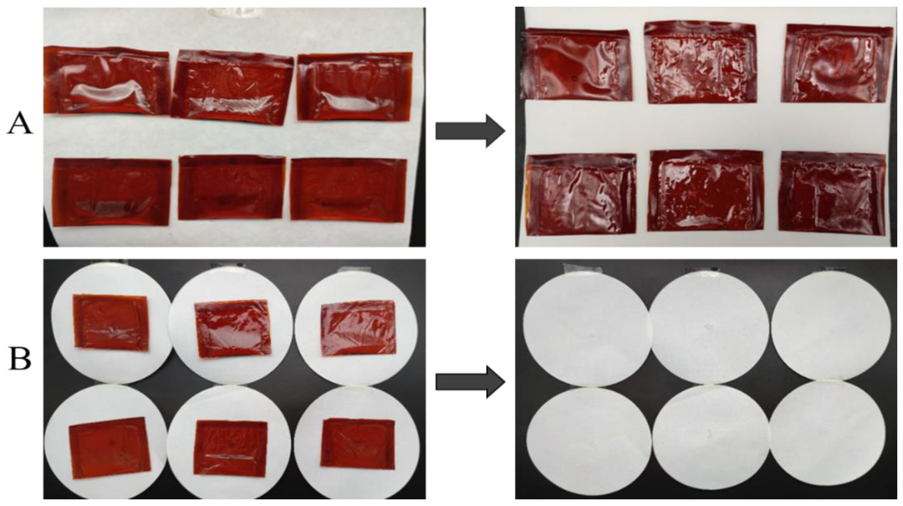 Coatings 12 01929 g007 Coatings 12 01929 g007