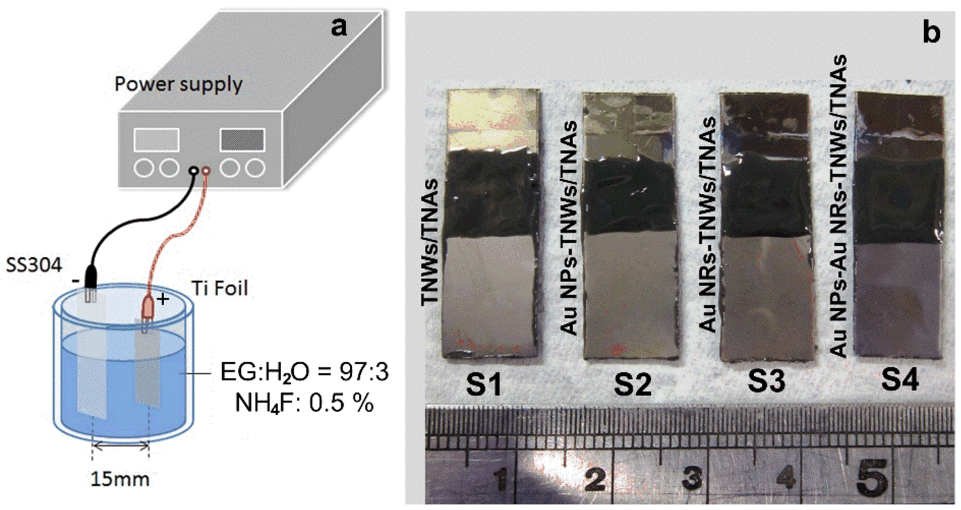 Coatings 12 01957 g001
