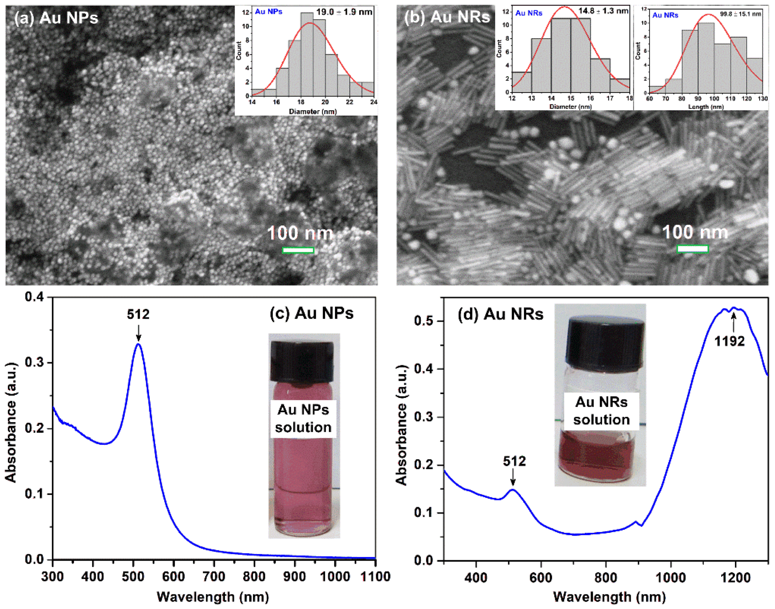 Coatings 12 01957 g003