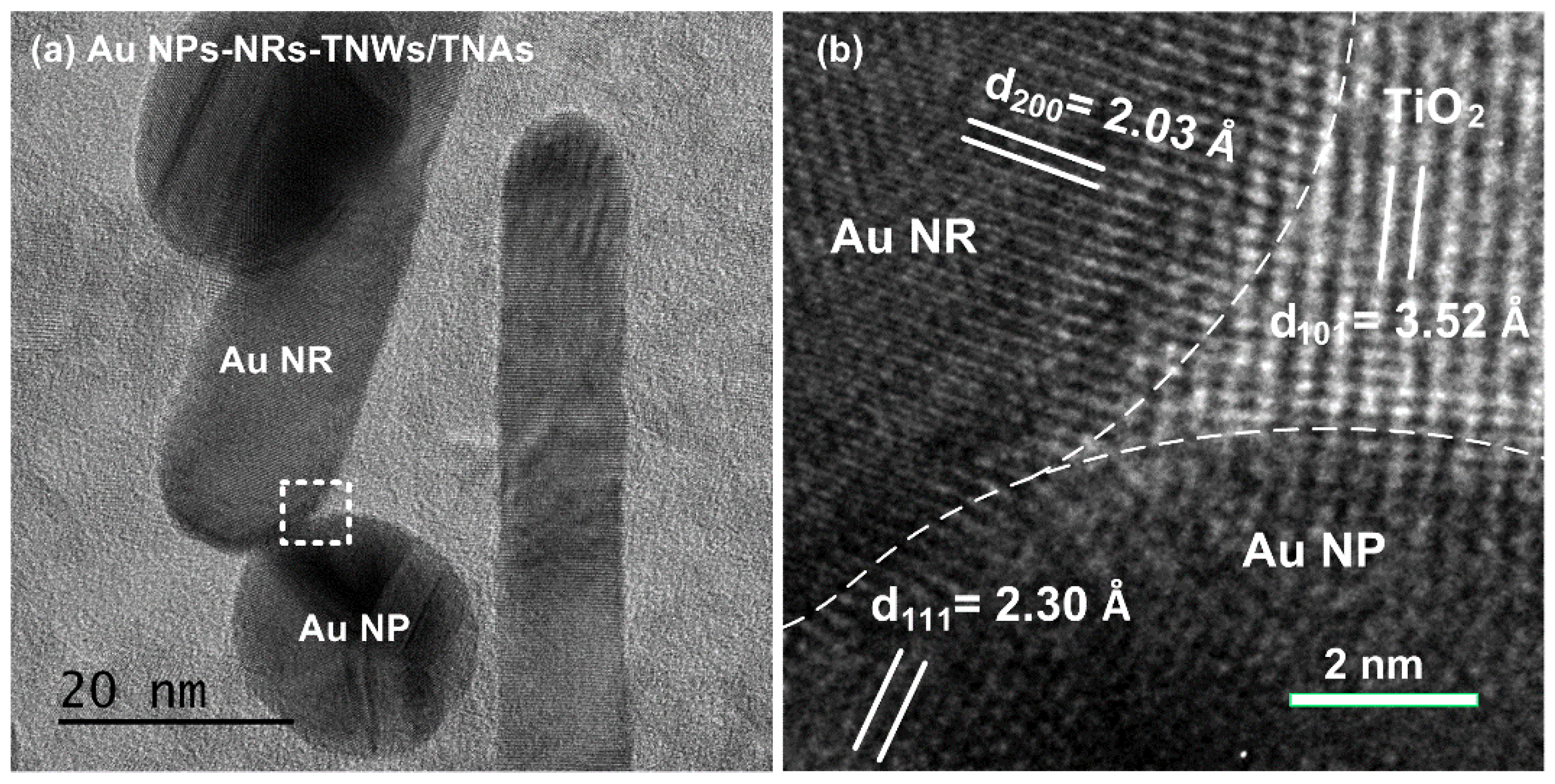 Coatings 12 01957 g005