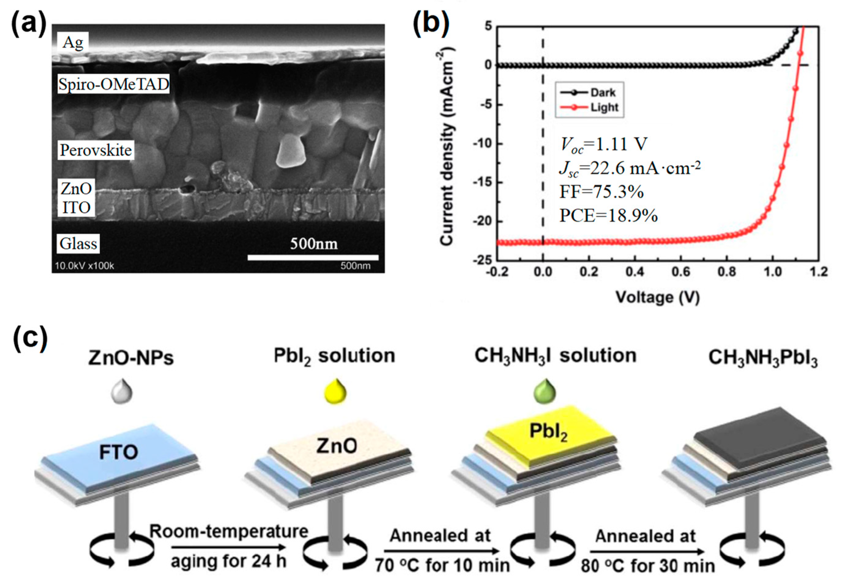 Coatings 12 01981 g004a