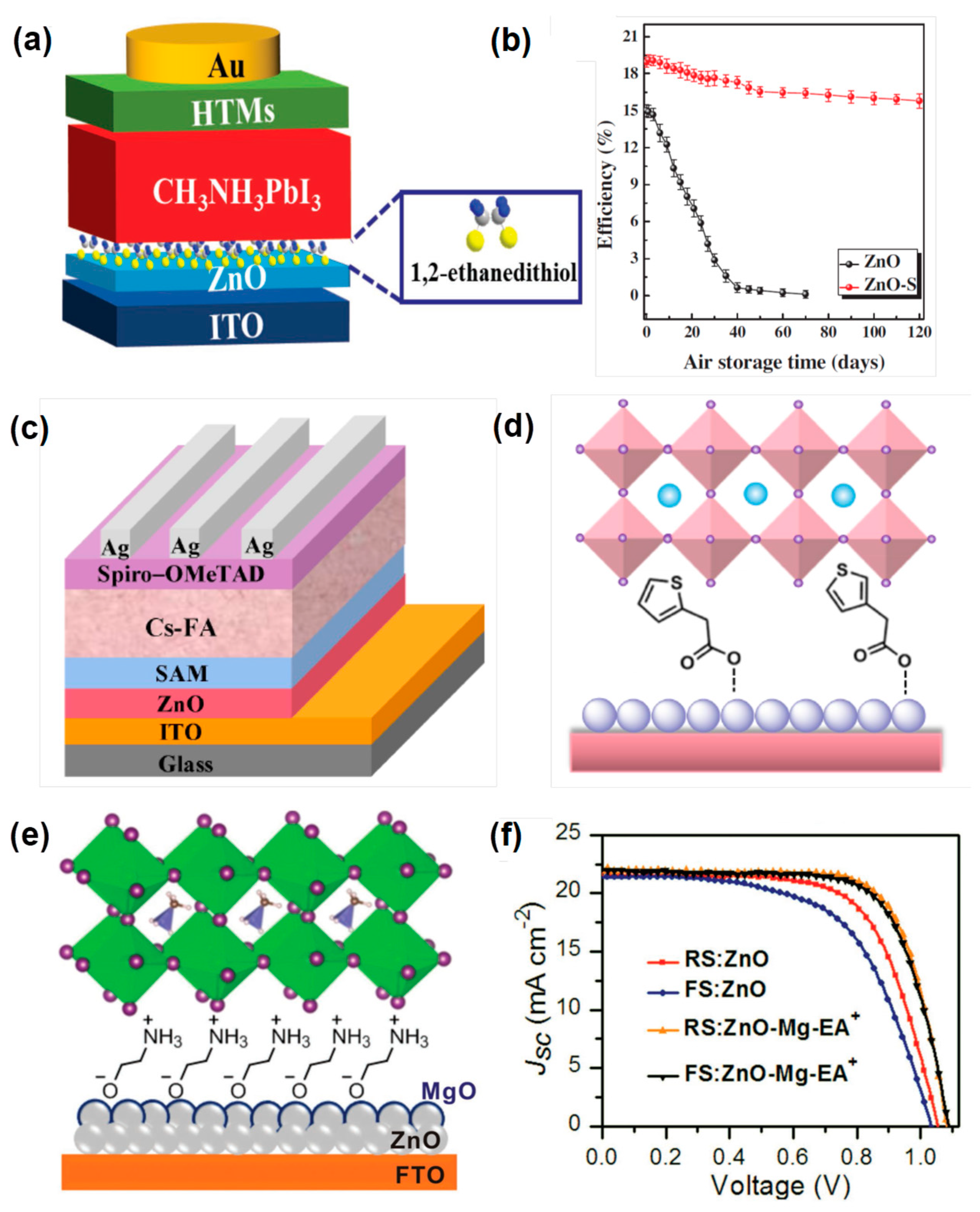 Coatings 12 01981 g007