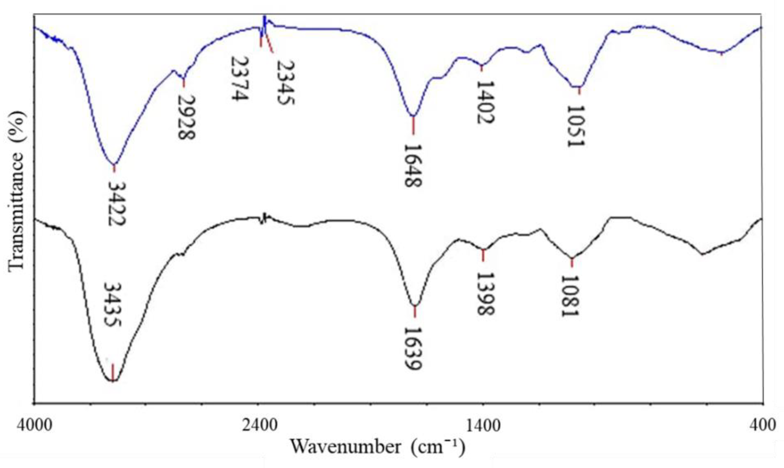 Coatings 12 01988 g005