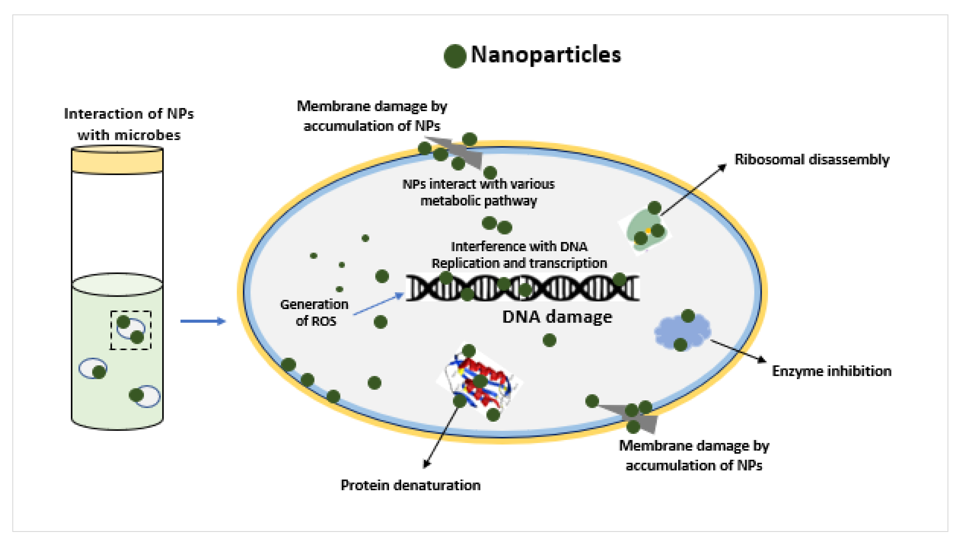 Coatings 12 01988 g007