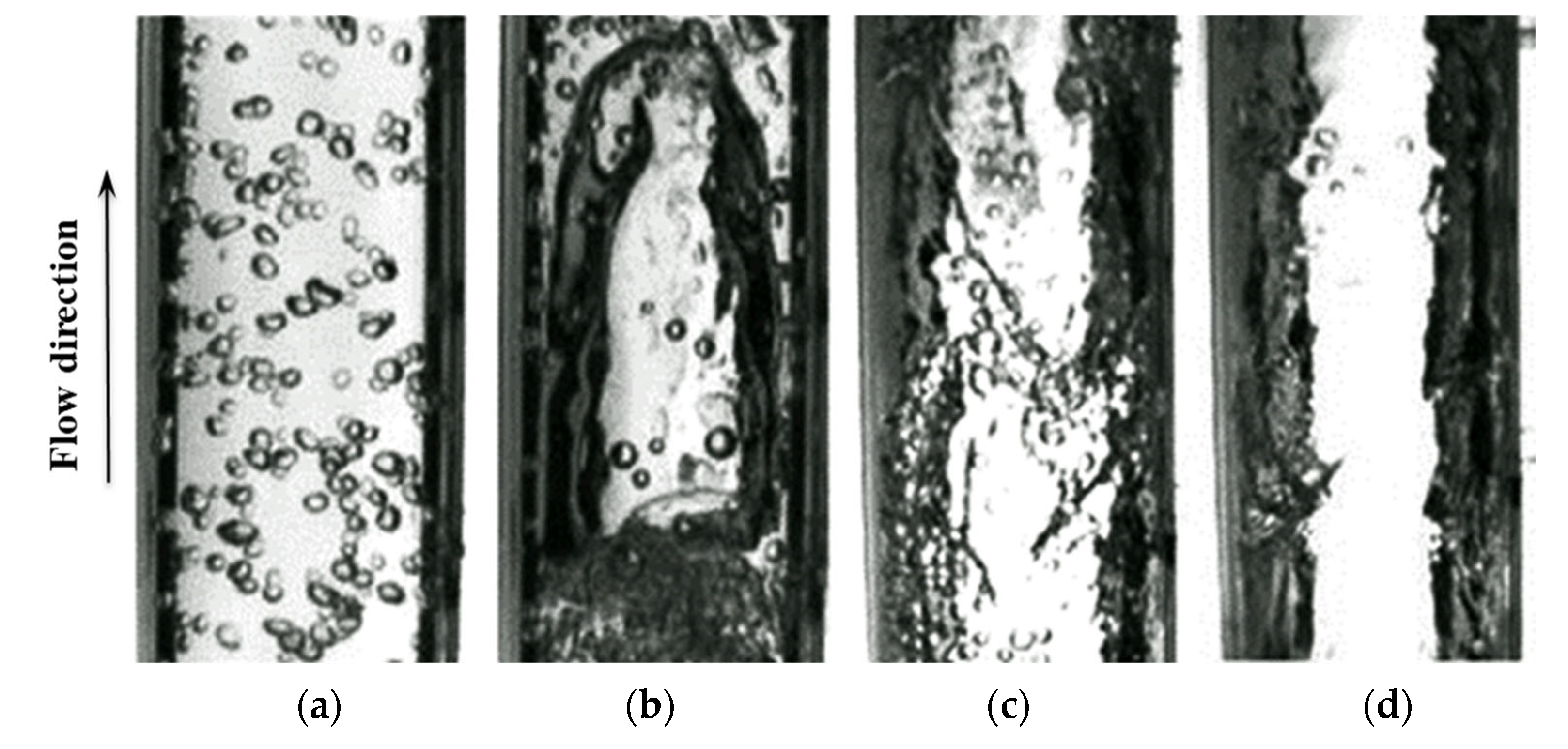 Coatings 13 00005 g006