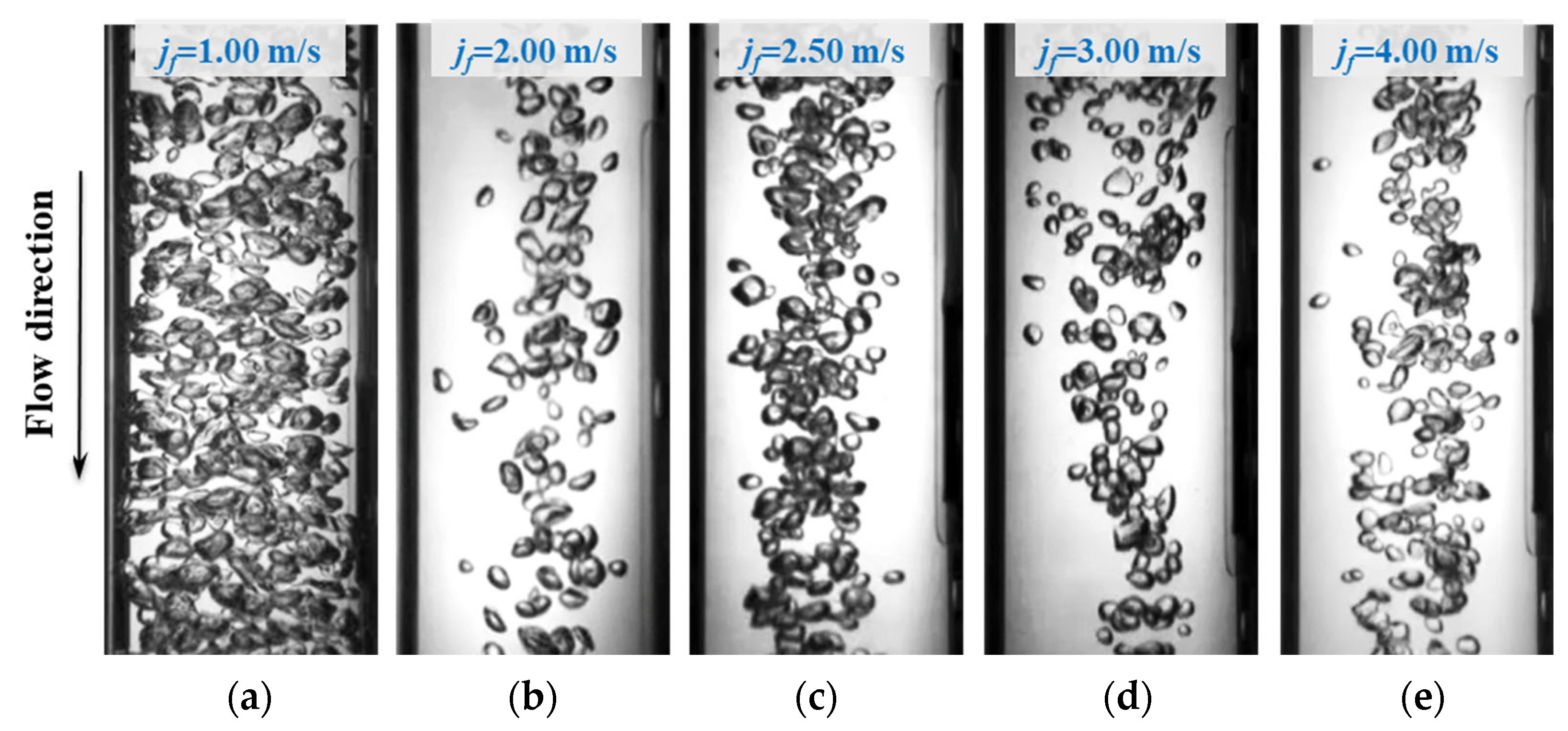 Coatings 13 00005 g008