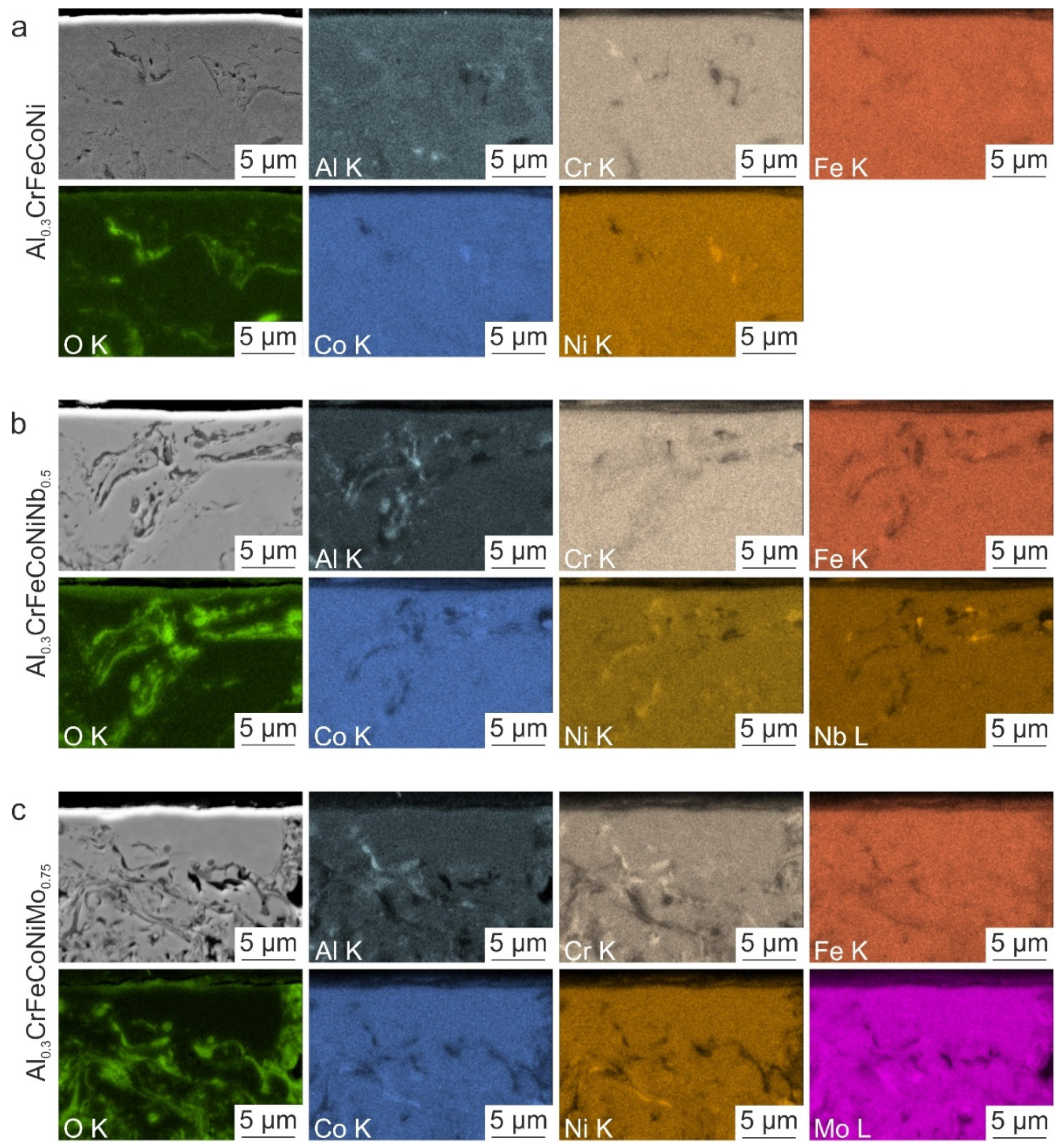 Coatings 13 00009 g002
