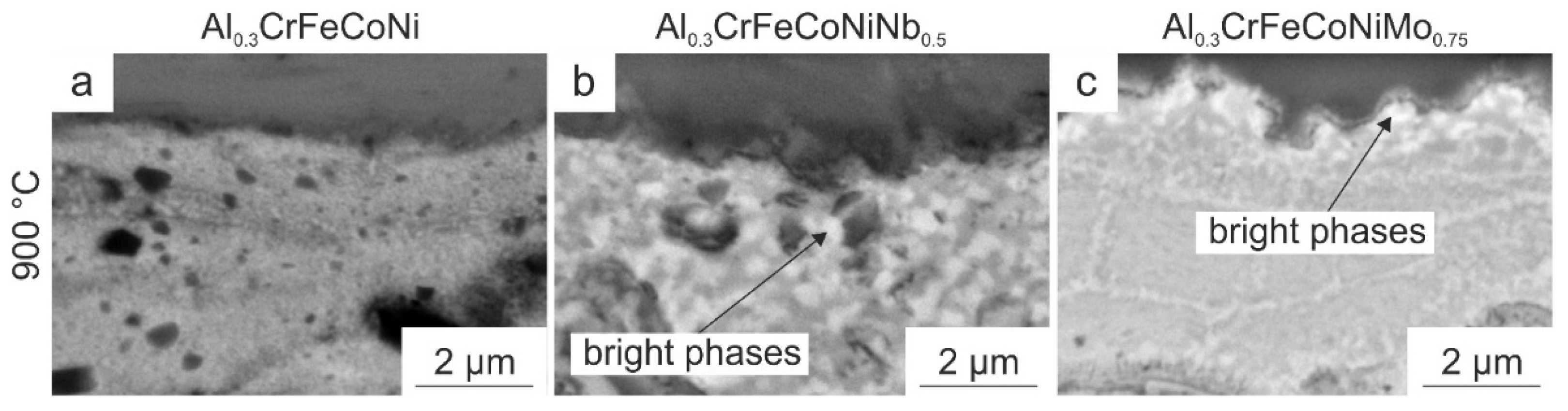 Coatings 13 00009 g009