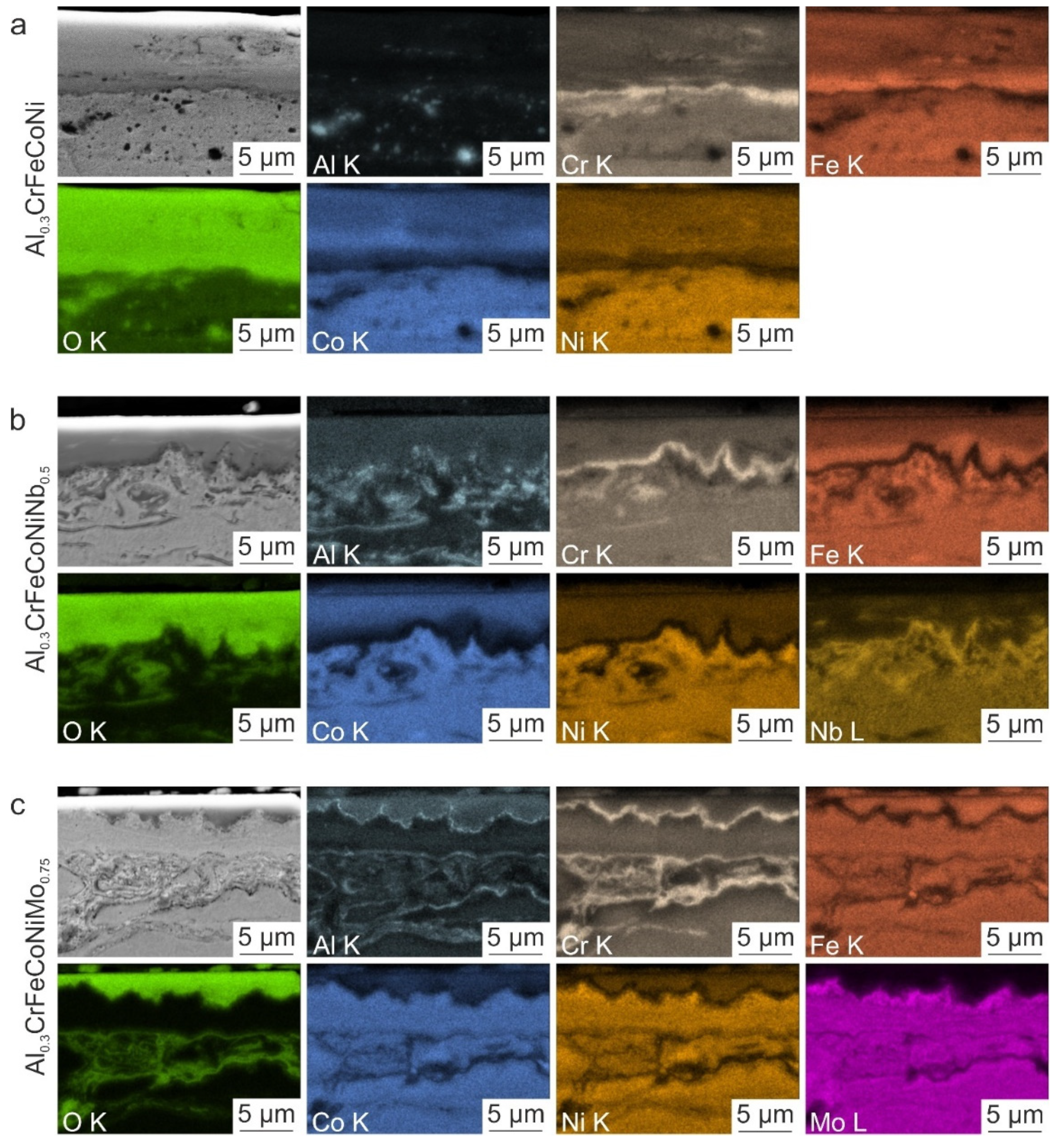 Coatings 13 00009 g011