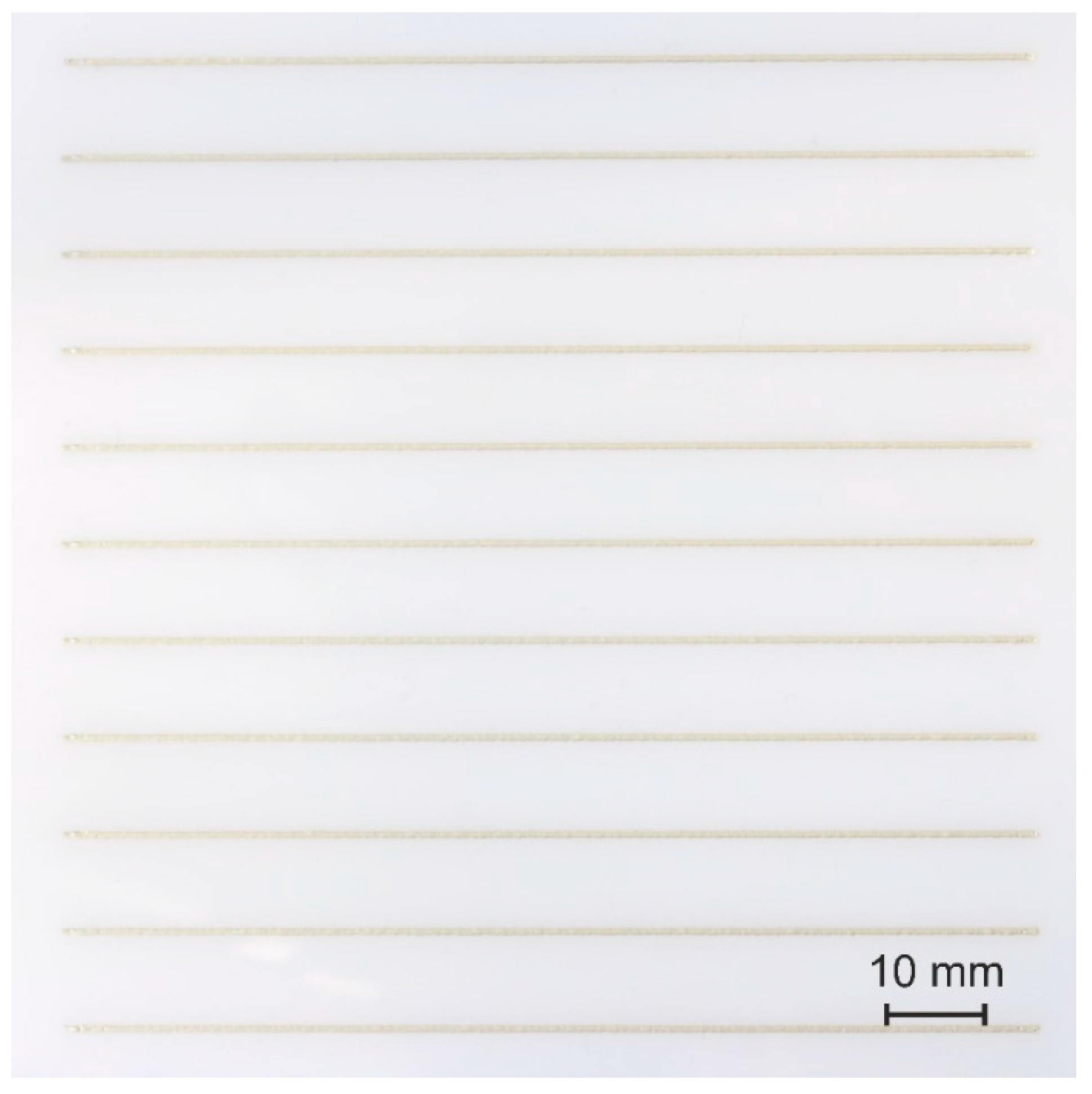 Coatings 13 00010 g002