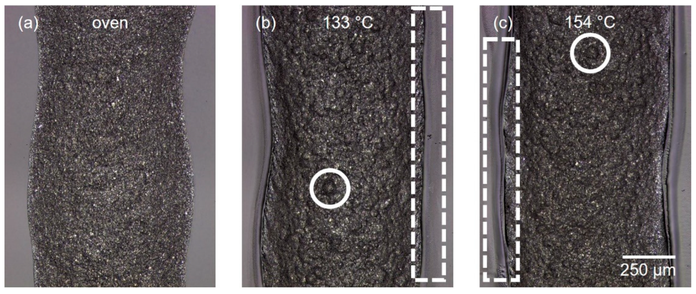 Coatings 13 00010 g011