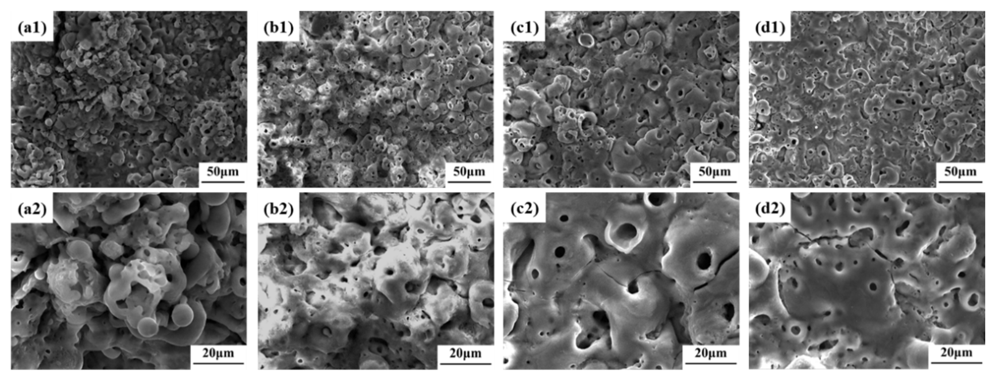 Coatings 13 00014 g001