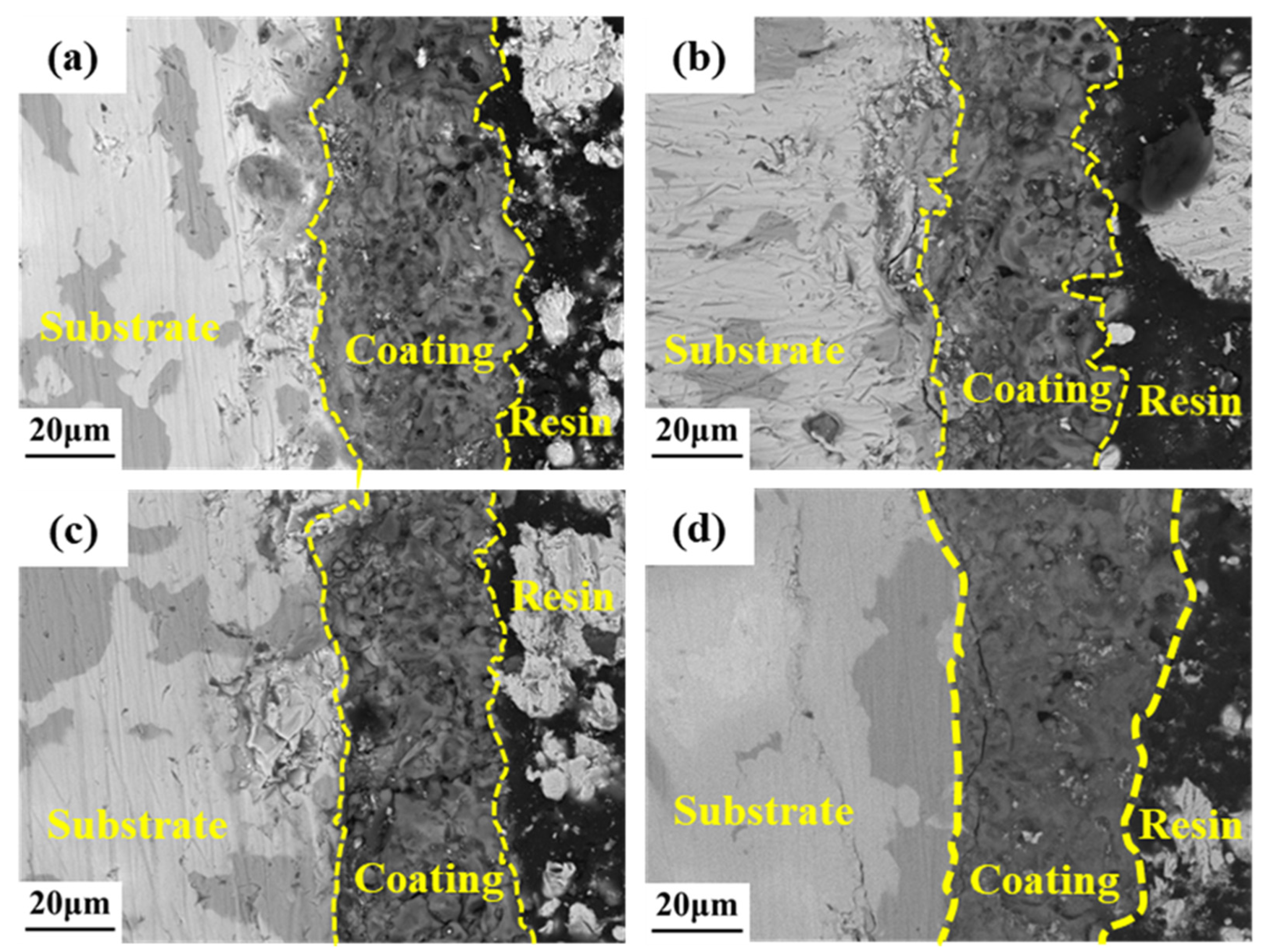 Coatings 13 00014 g003