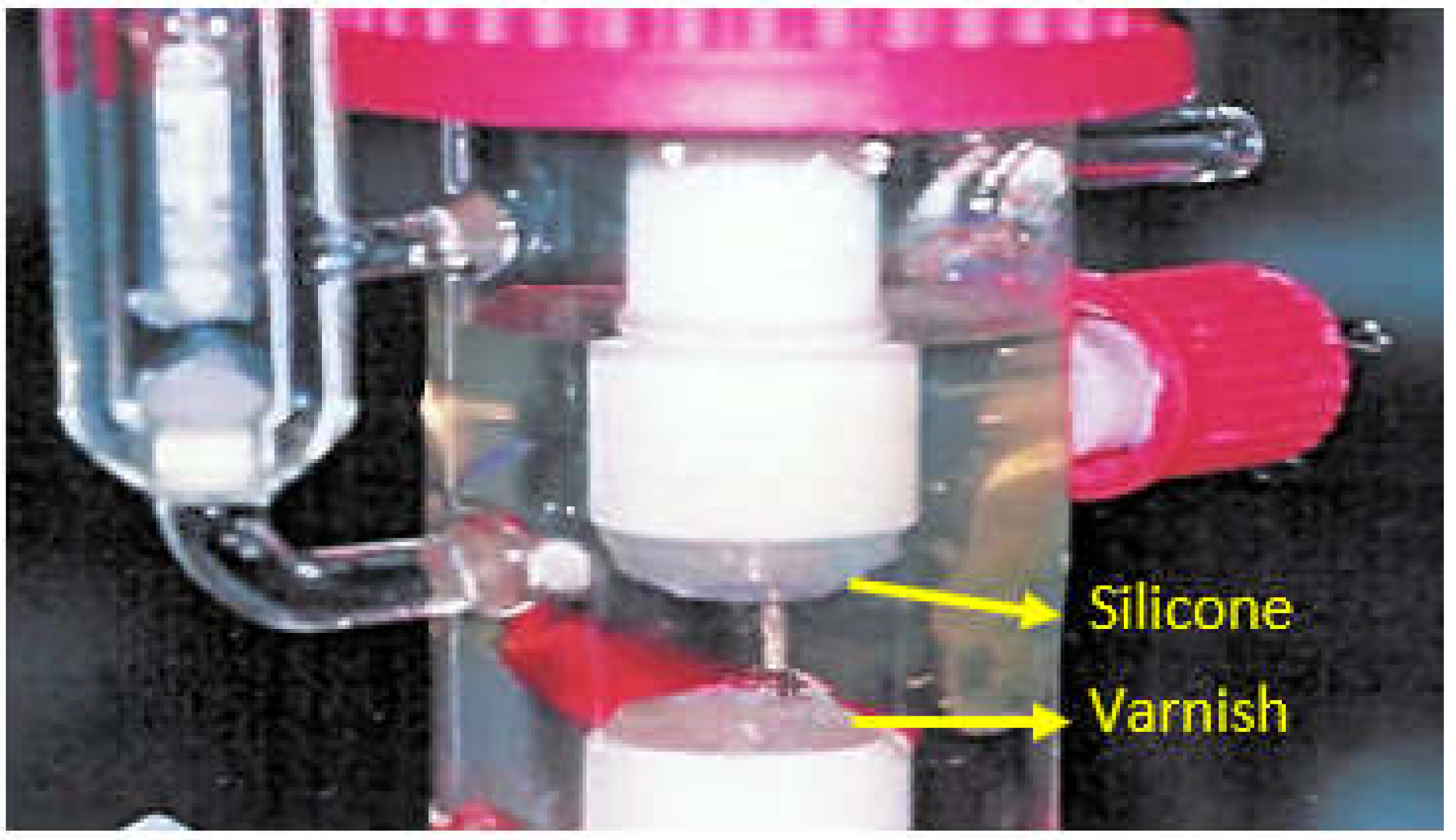 Coatings 13 00018 g006