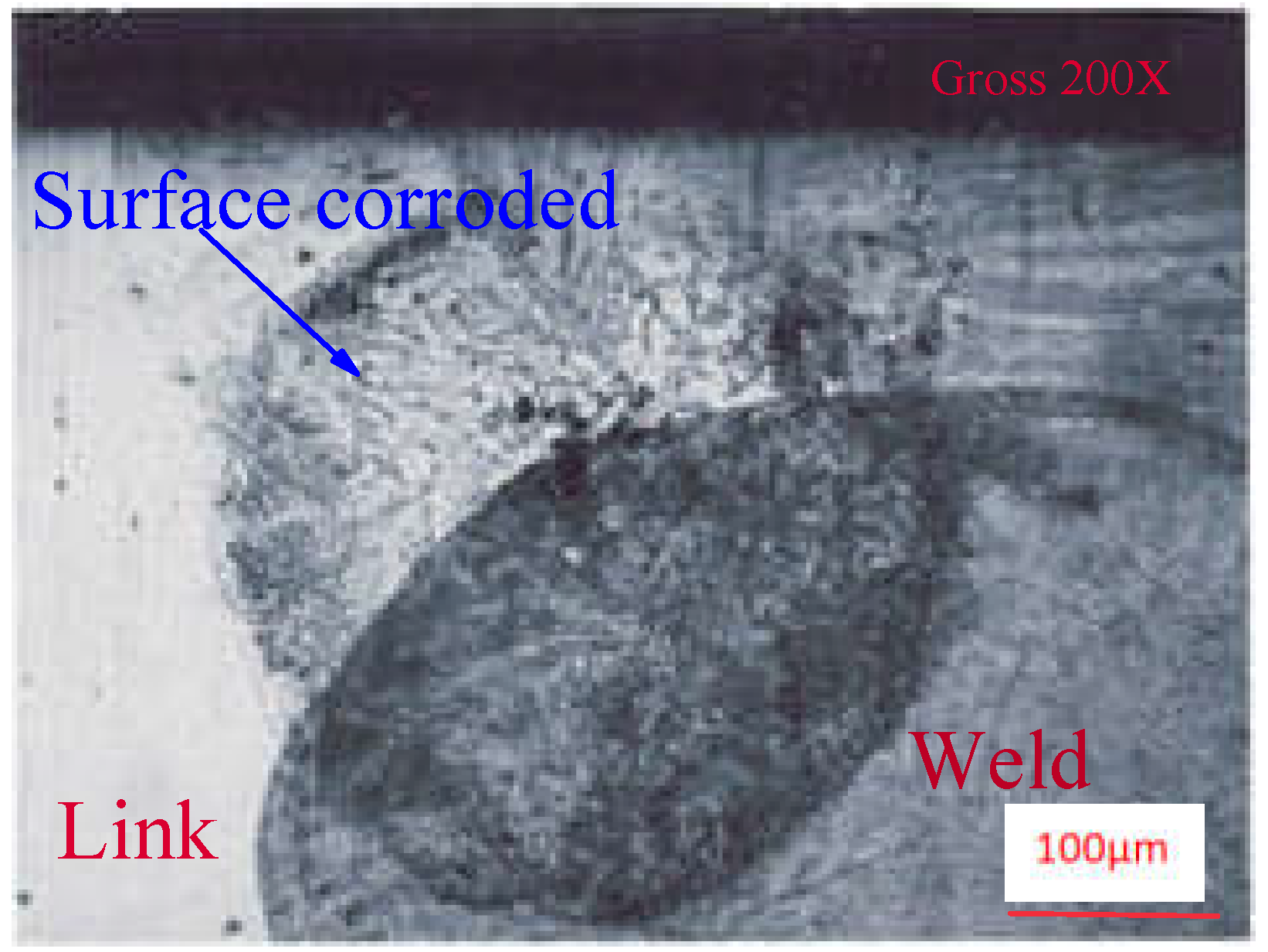 Coatings 13 00018 g011