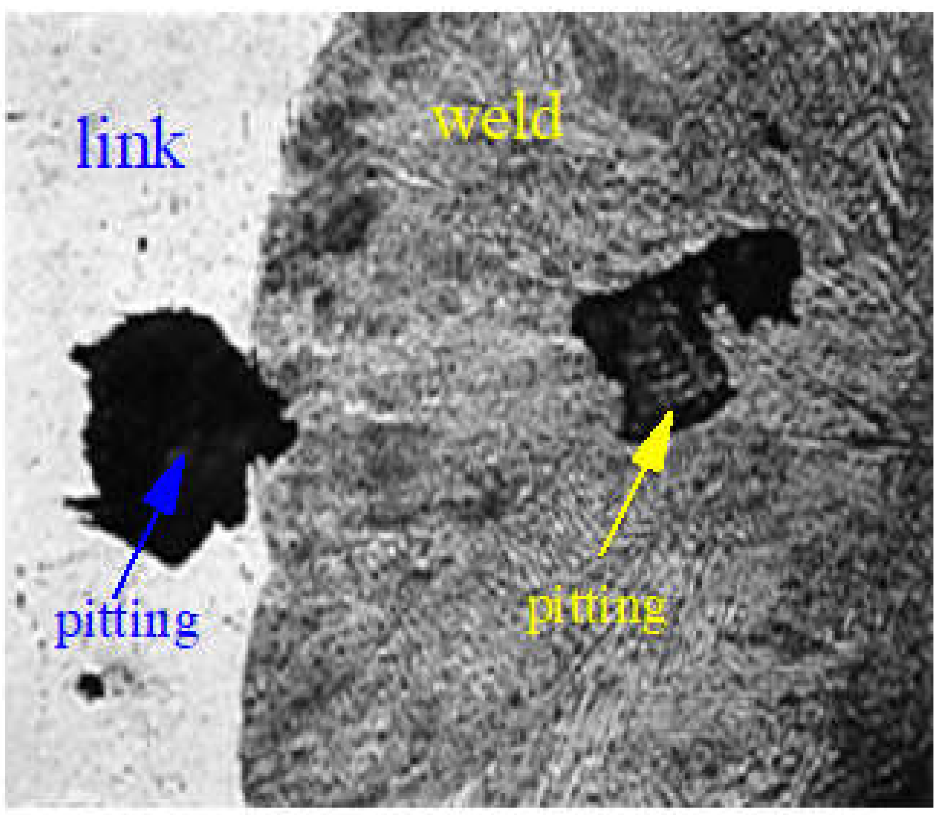 Coatings 13 00018 g013
