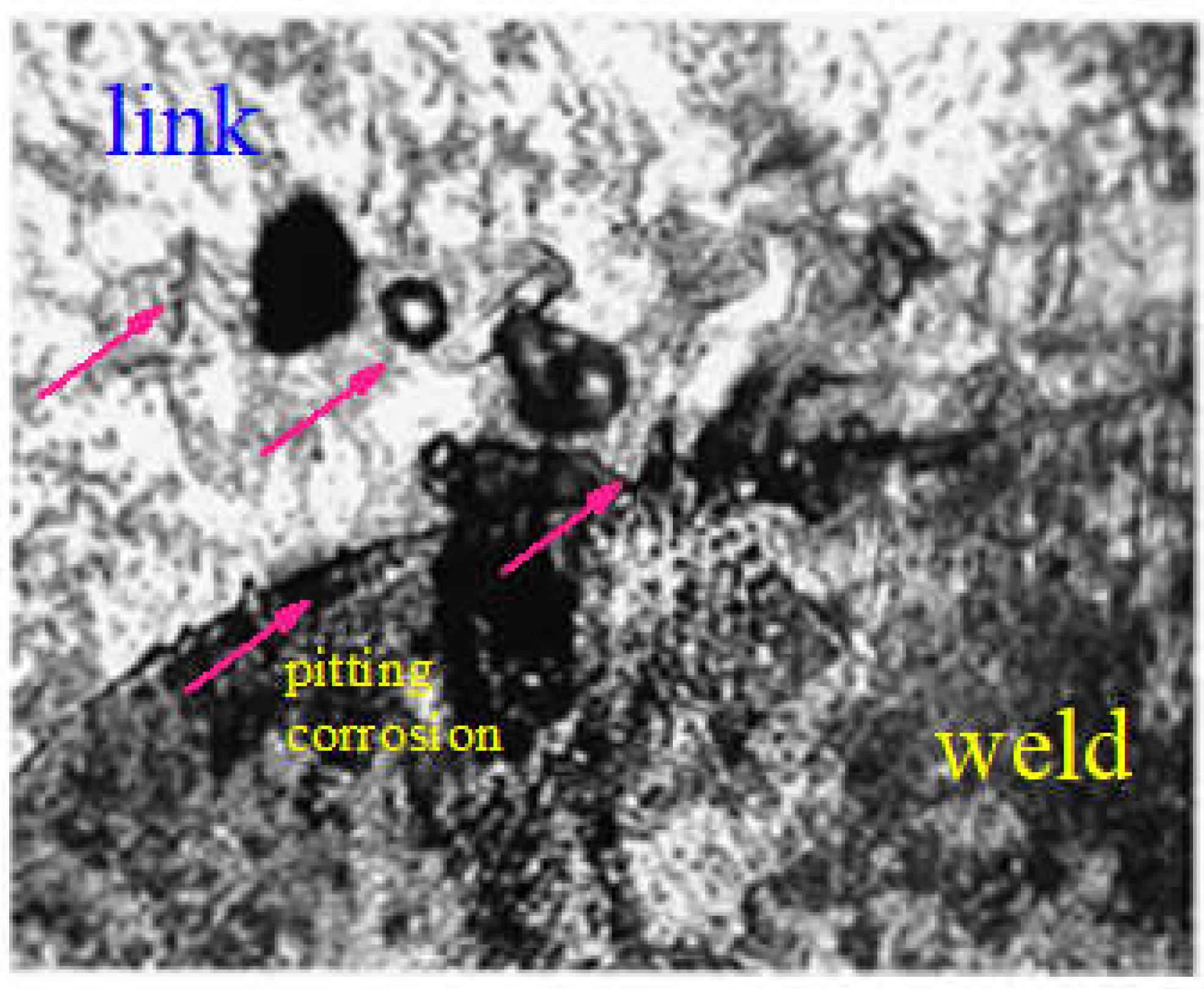 Coatings 13 00018 g014