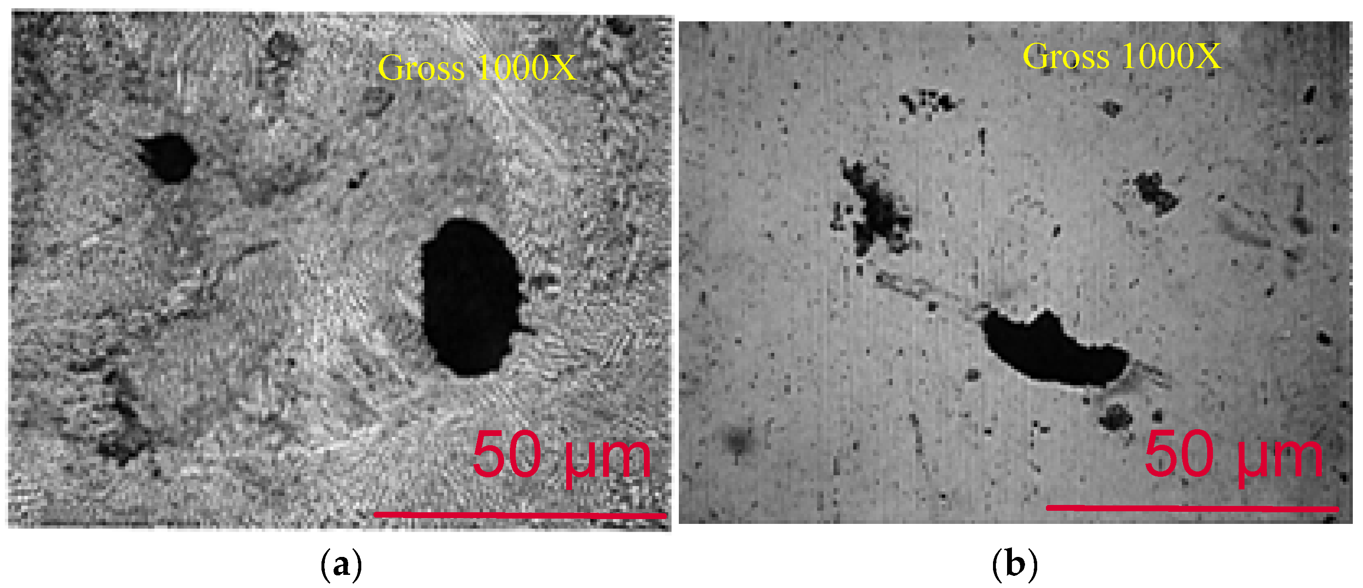 Coatings 13 00018 g015