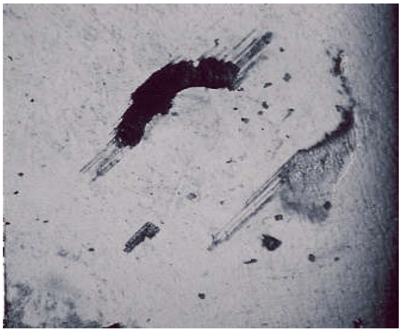 Coatings 13 00018 g018