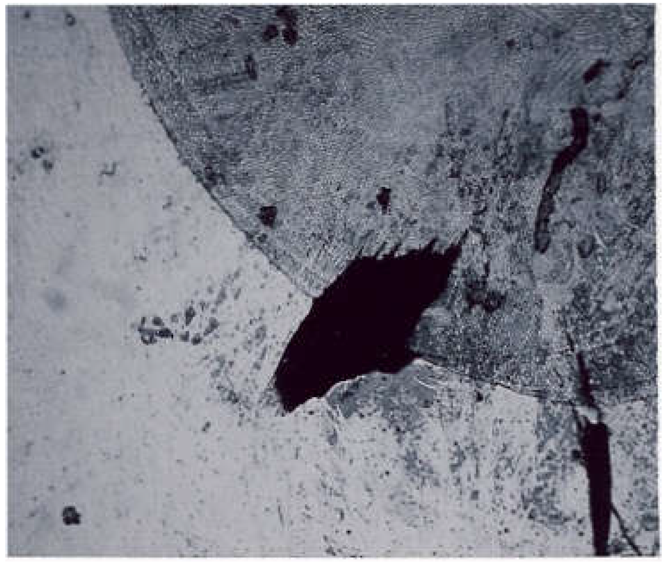 Coatings 13 00018 g019