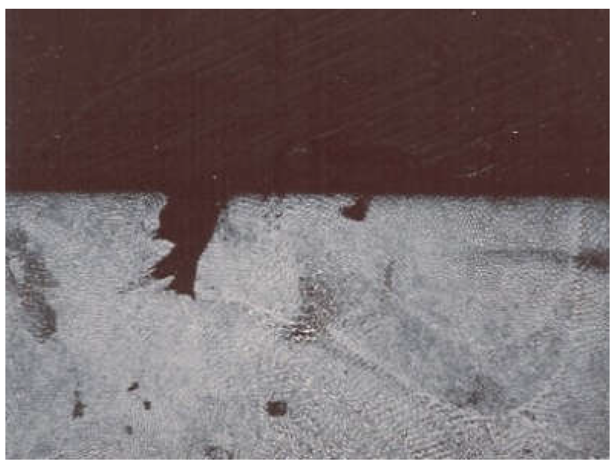 Coatings 13 00018 g022