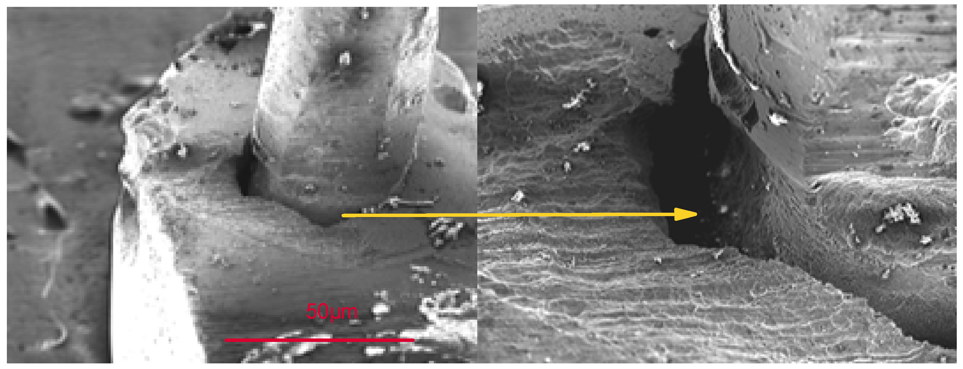 Coatings 13 00018 g027
