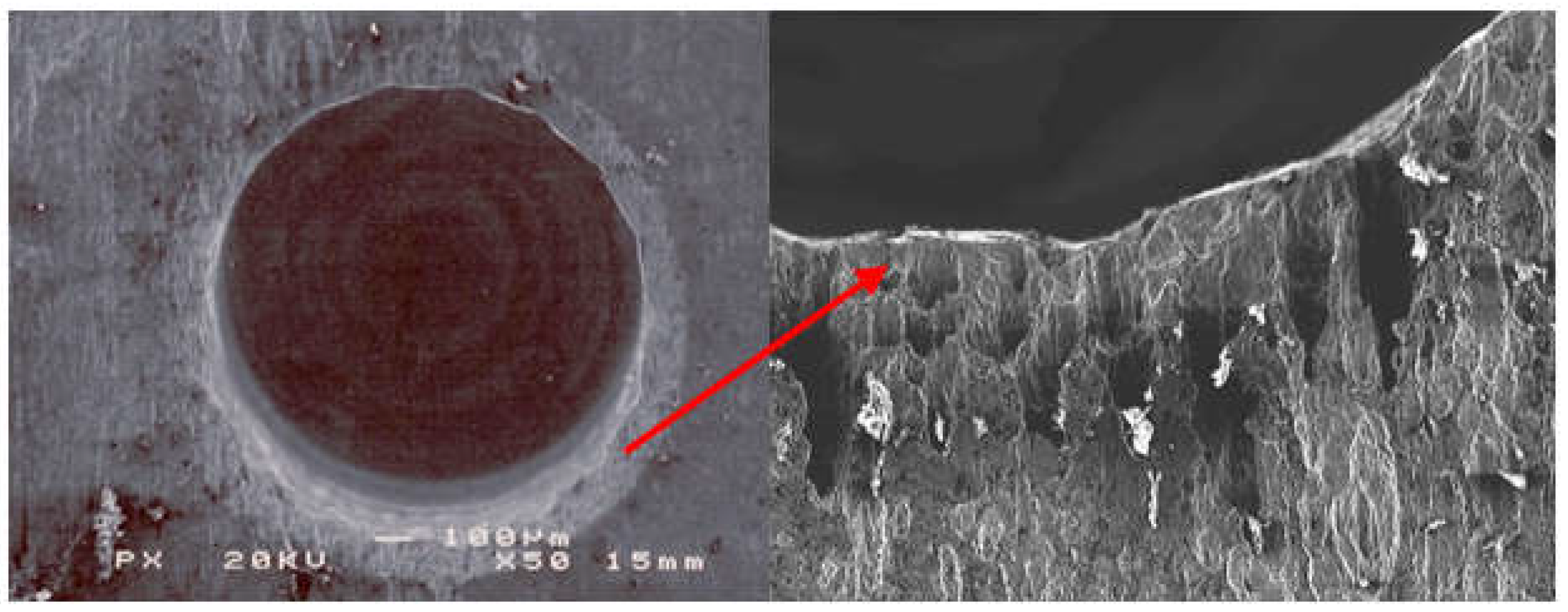 Coatings 13 00018 g028