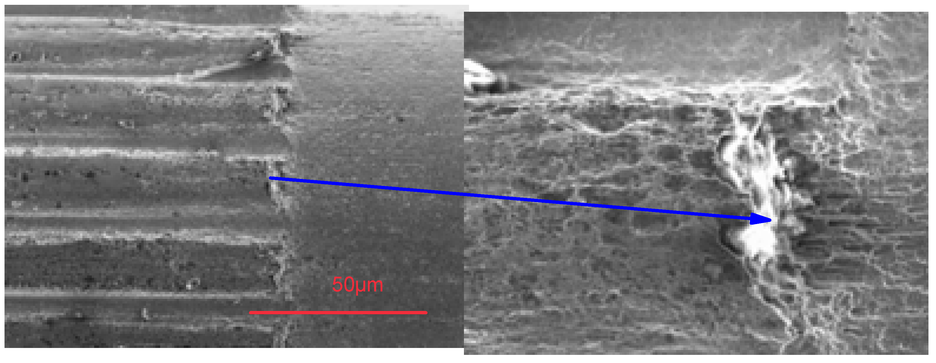 Coatings 13 00018 g029