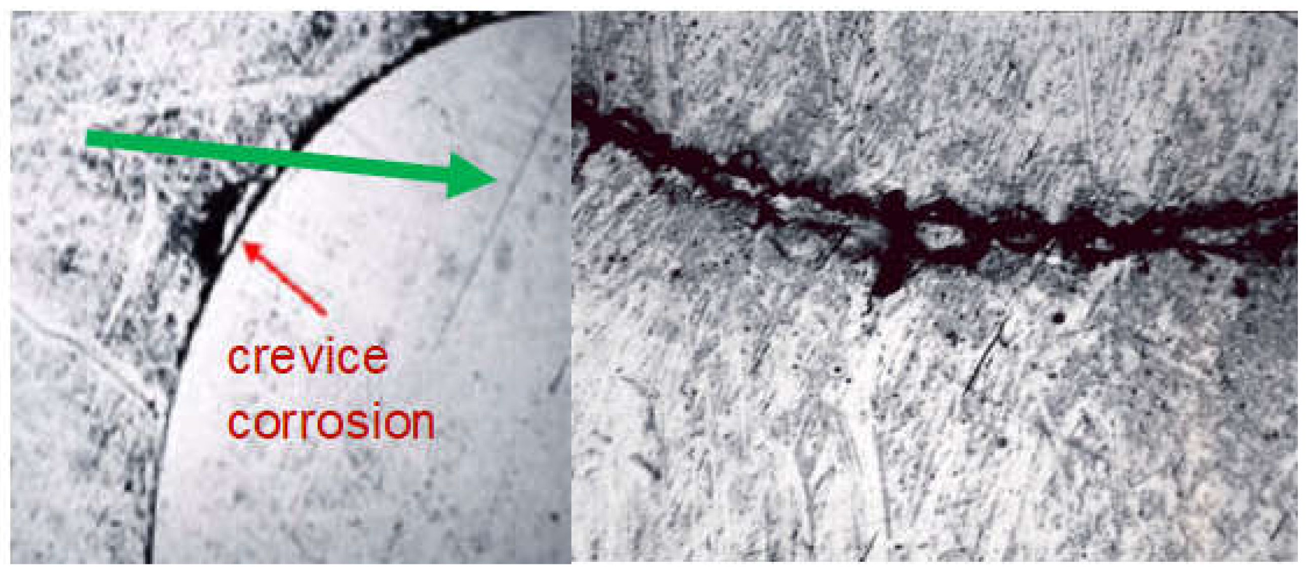 Coatings 13 00018 g031