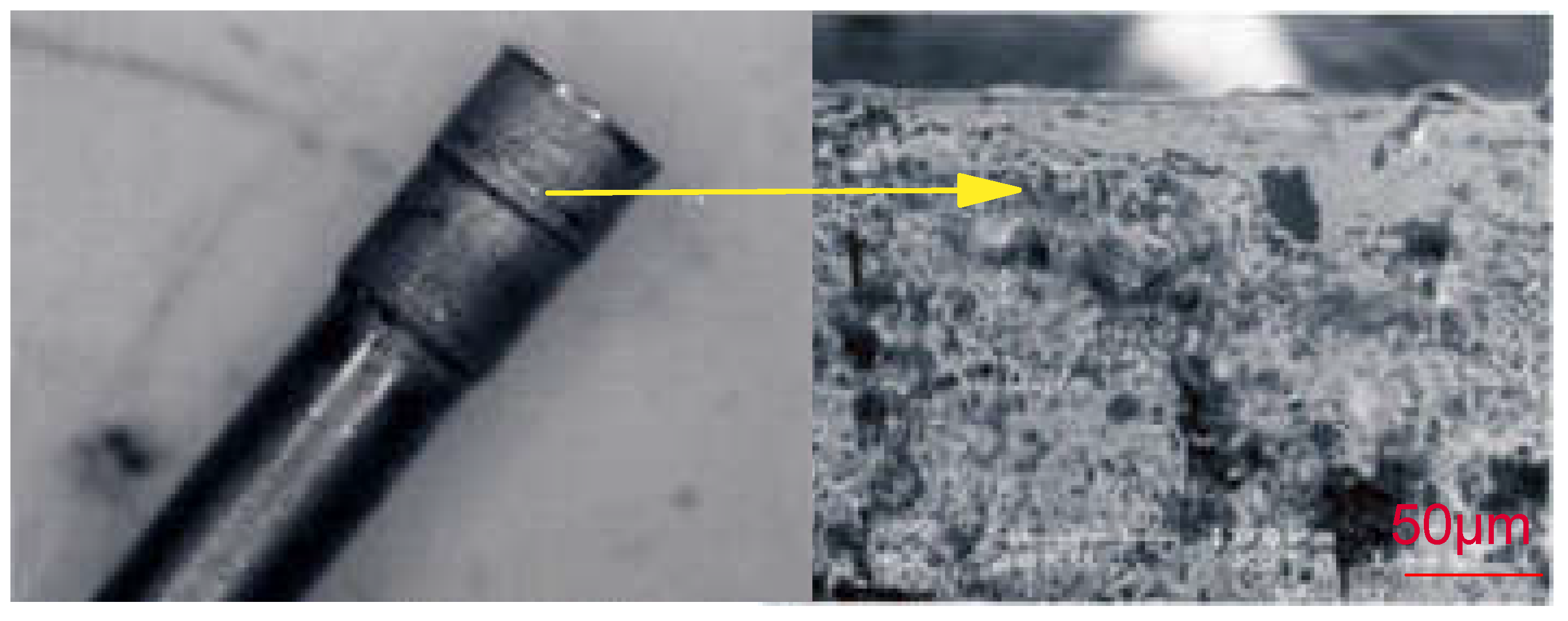 Coatings 13 00018 g032