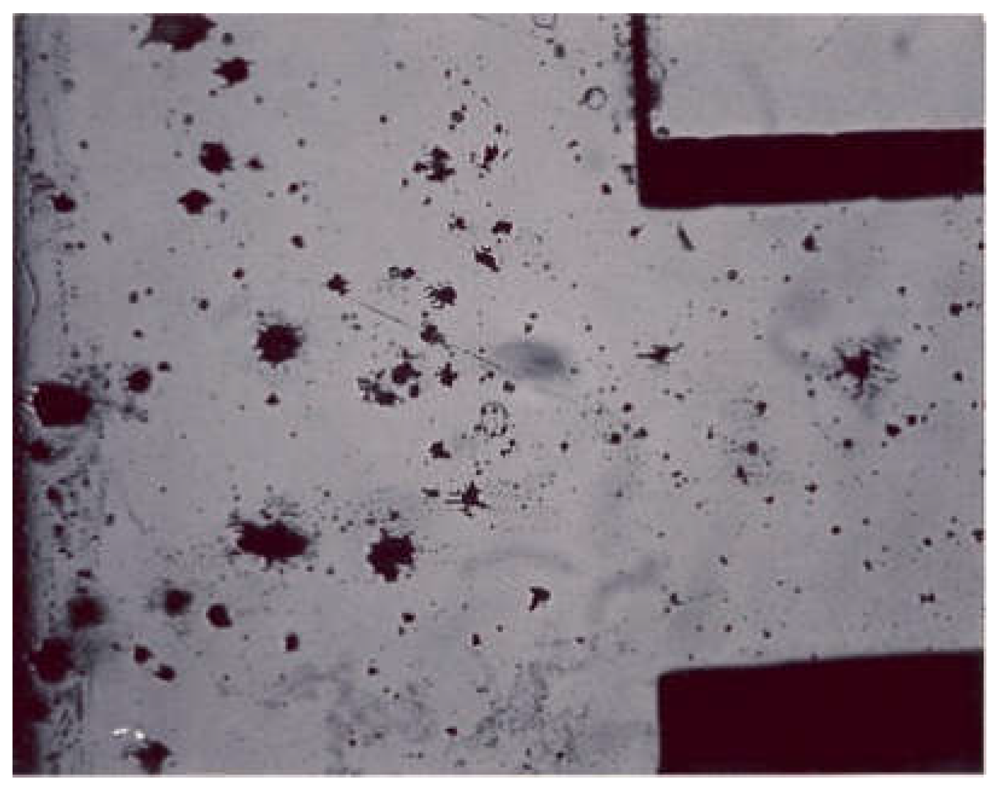 Coatings 13 00018 g036