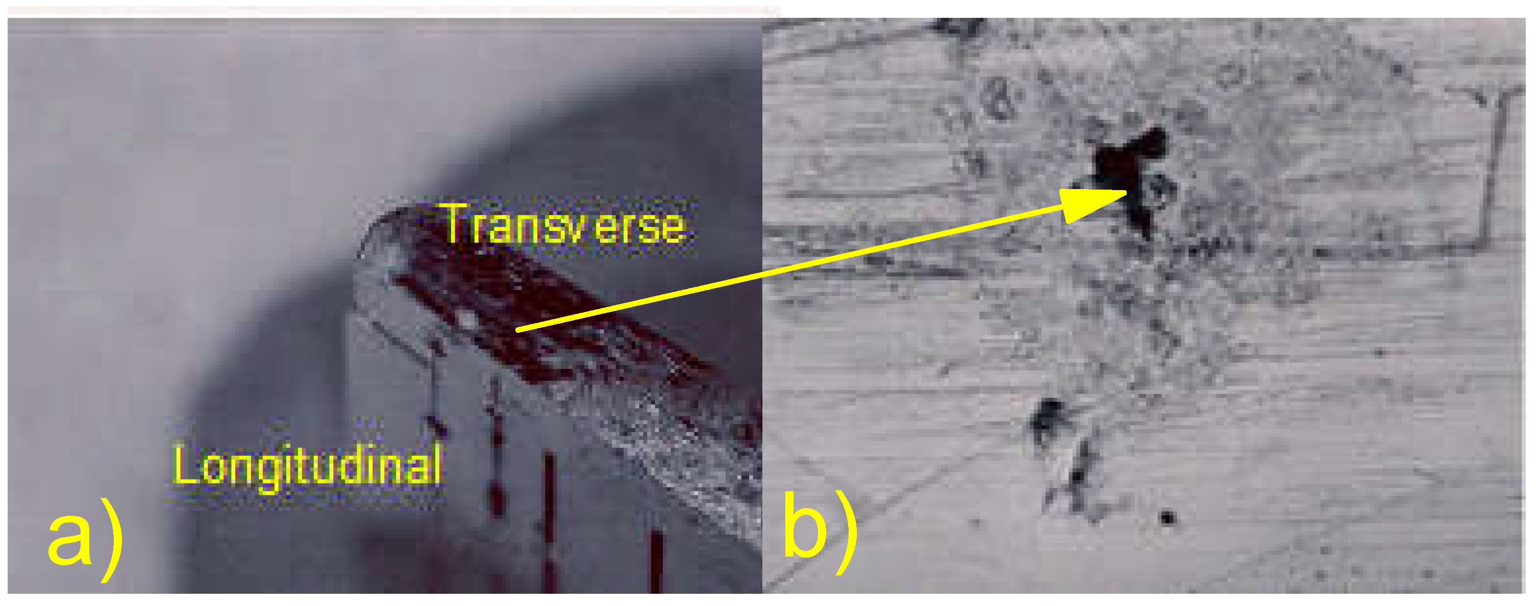 Coatings 13 00018 g038