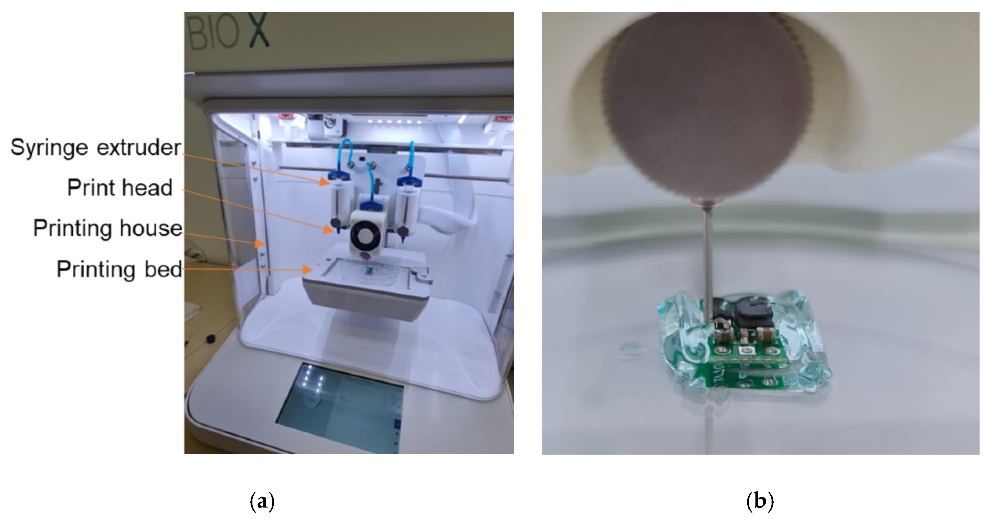 Coatings 13 00019 g001 Coatings 13 00019 g001
