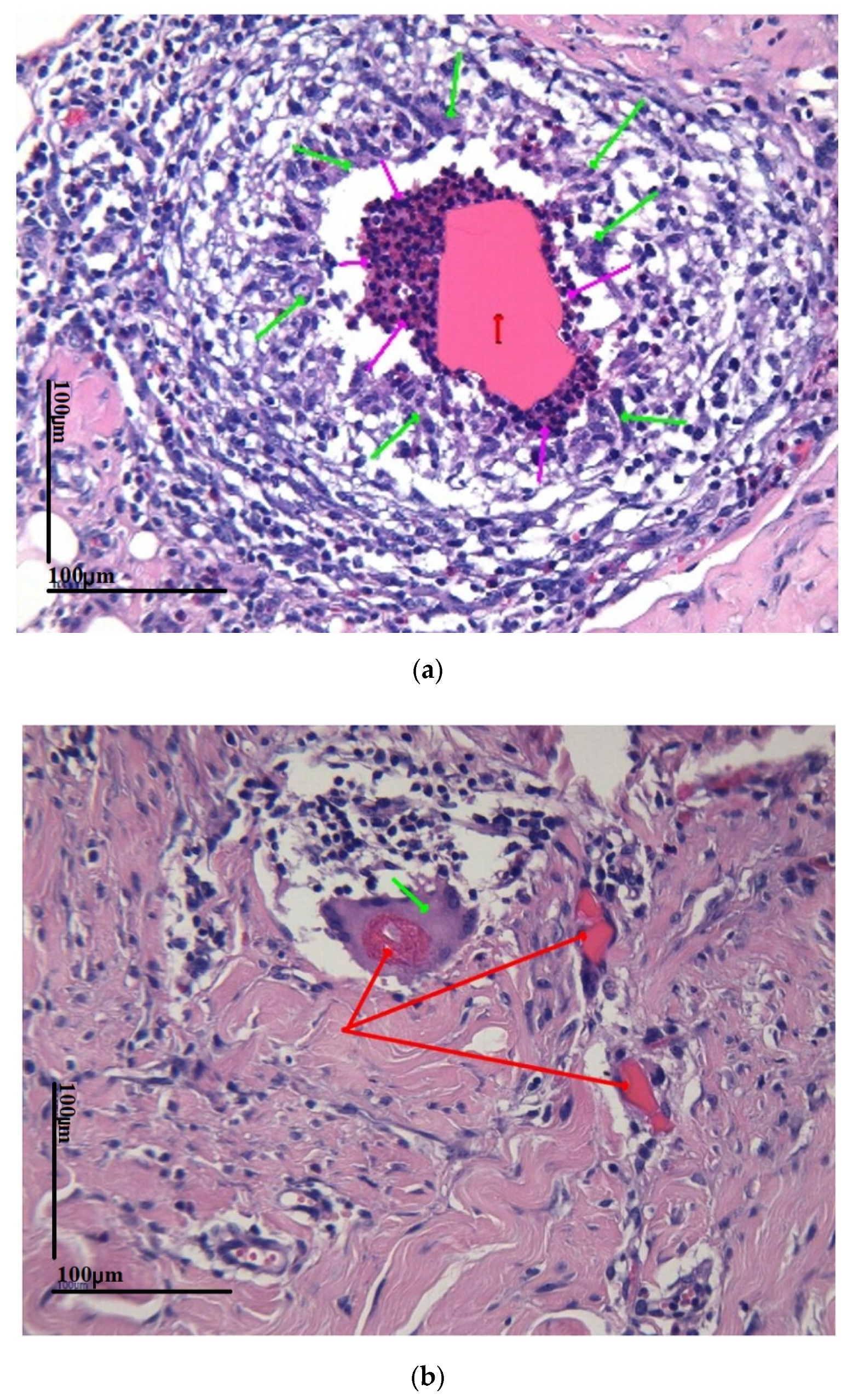 Coatings 13 00019 g006 Coatings 13 00019 g006