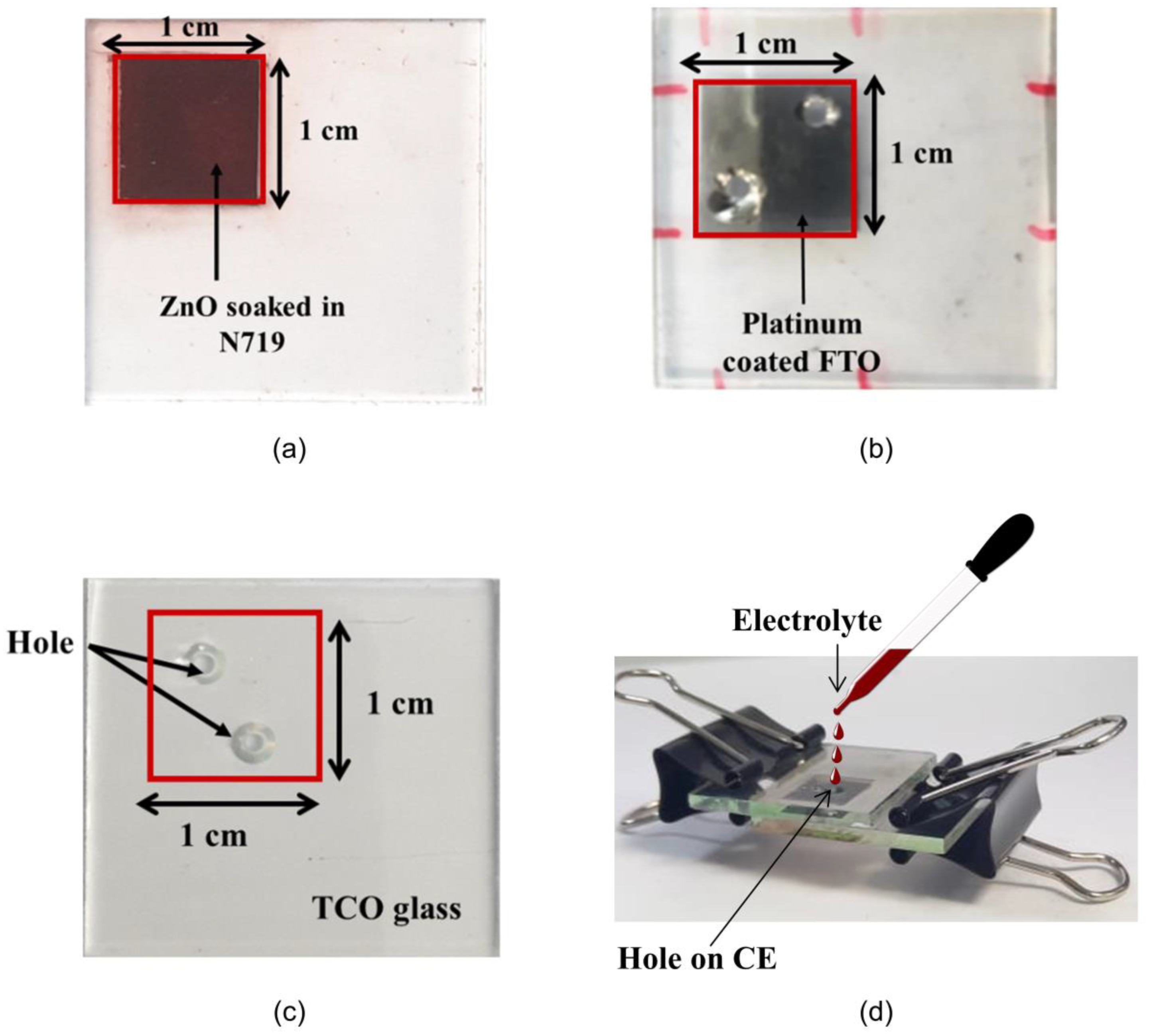 Coatings 13 00020 g002