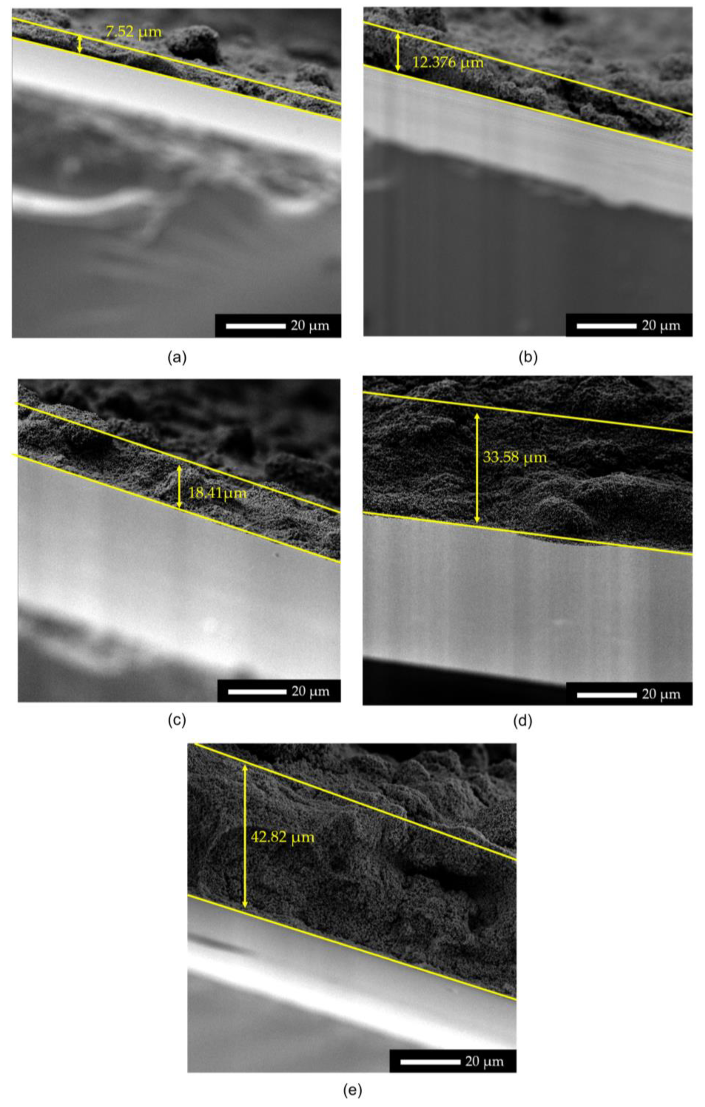 Coatings 13 00020 g004