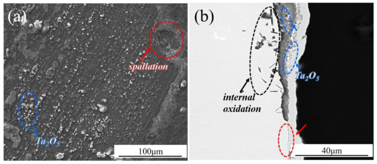 Coatings 13 00022 g005