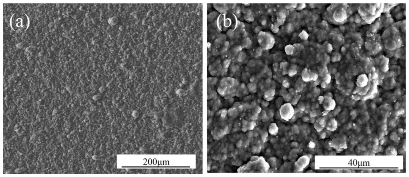 Coatings 13 00022 g006