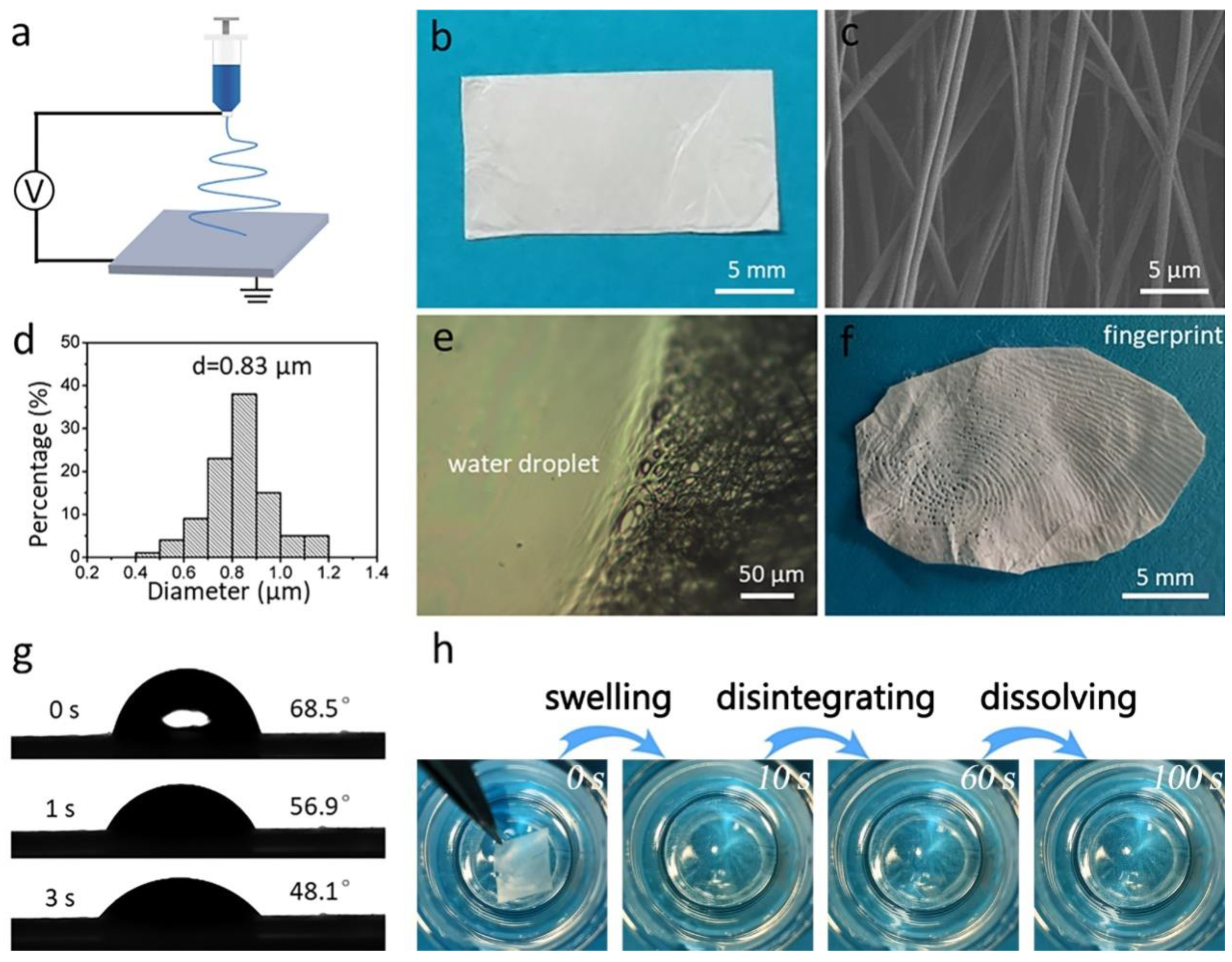 Coatings 13 00023 g001