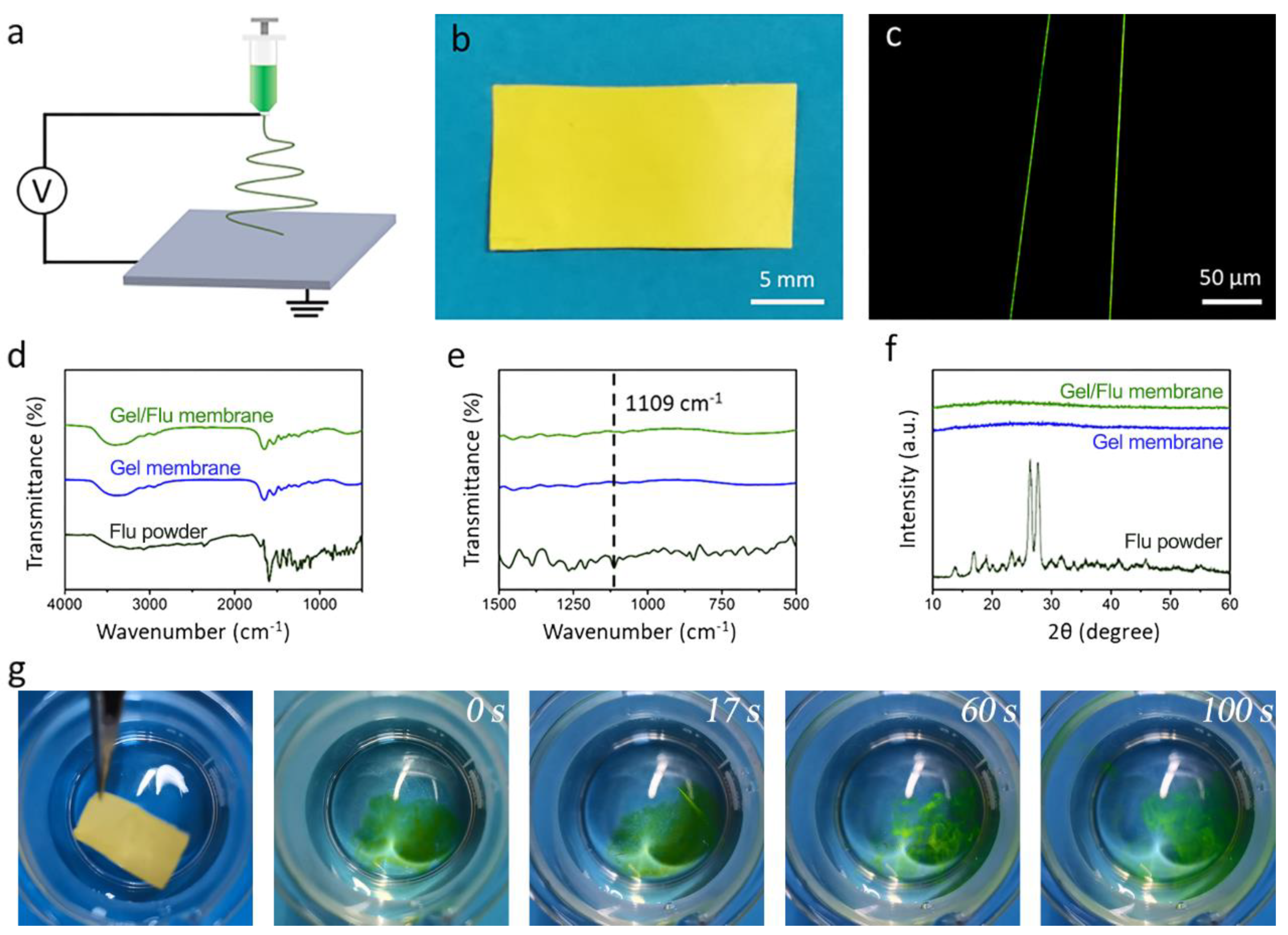 Coatings 13 00023 g003