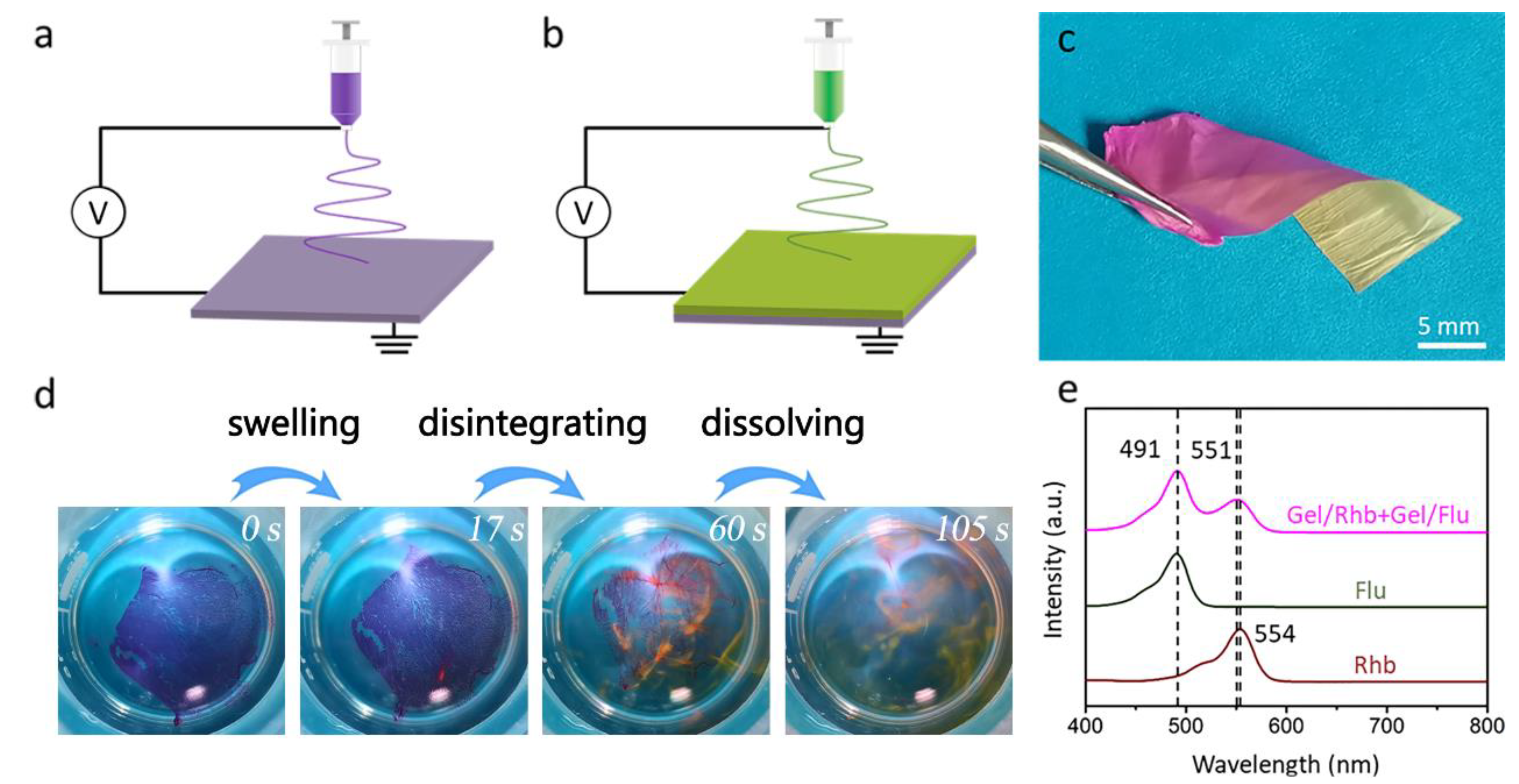 Coatings 13 00023 g004